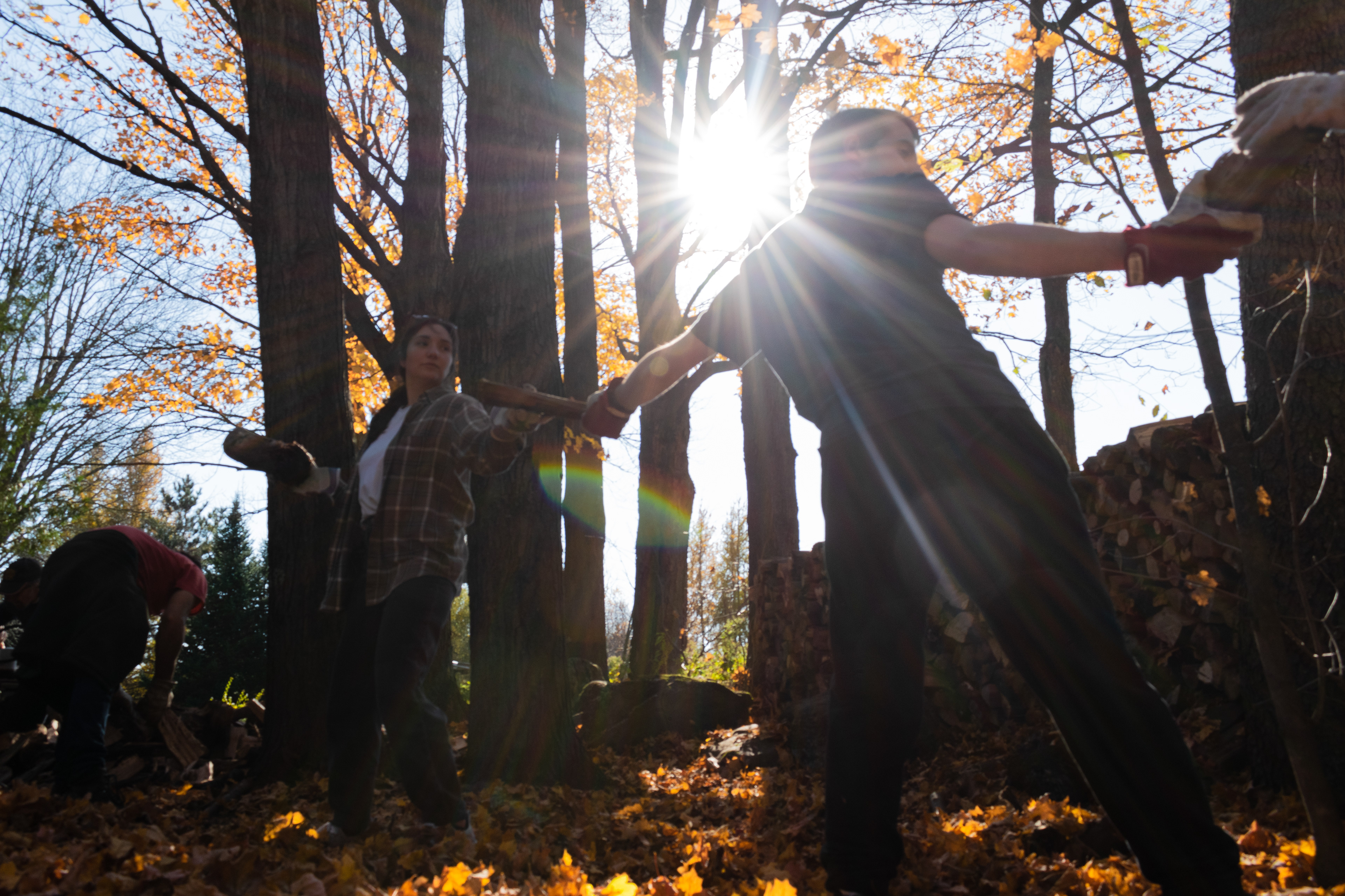 Ceux qui n'opèrent pas la fendeuse à bois se passent les billots de bois à la chaîne afin de construire des cordes de bois un peu partout dans la cour arrière.