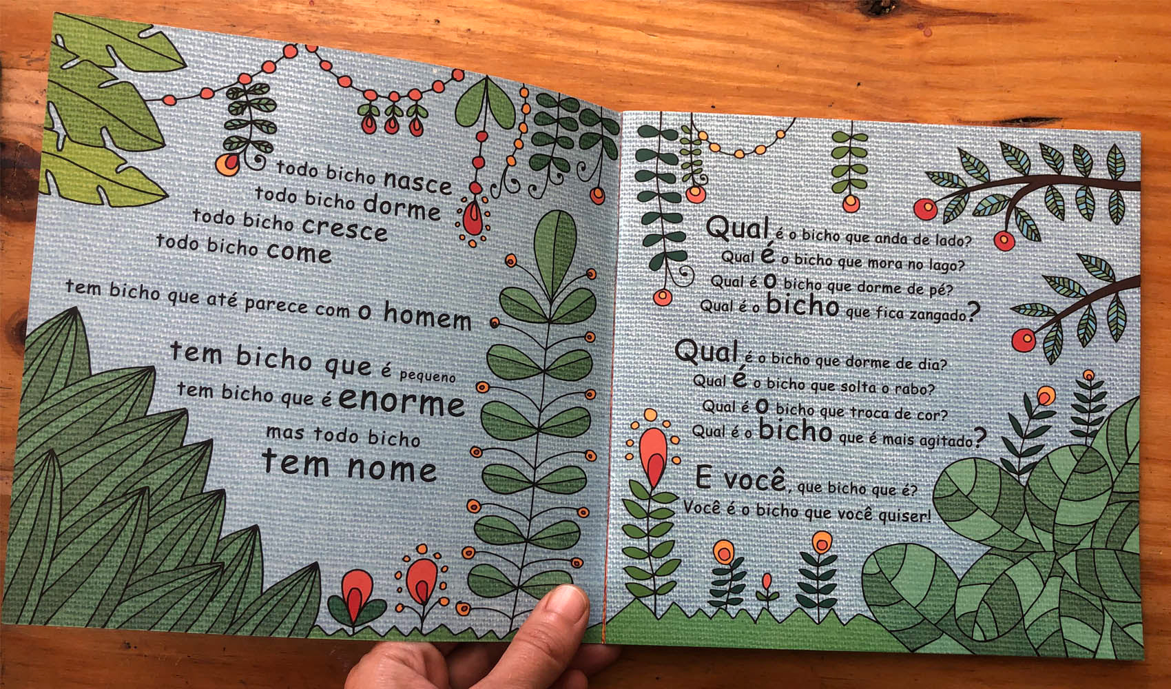 livro/divulgação - mariposas e outros bichos