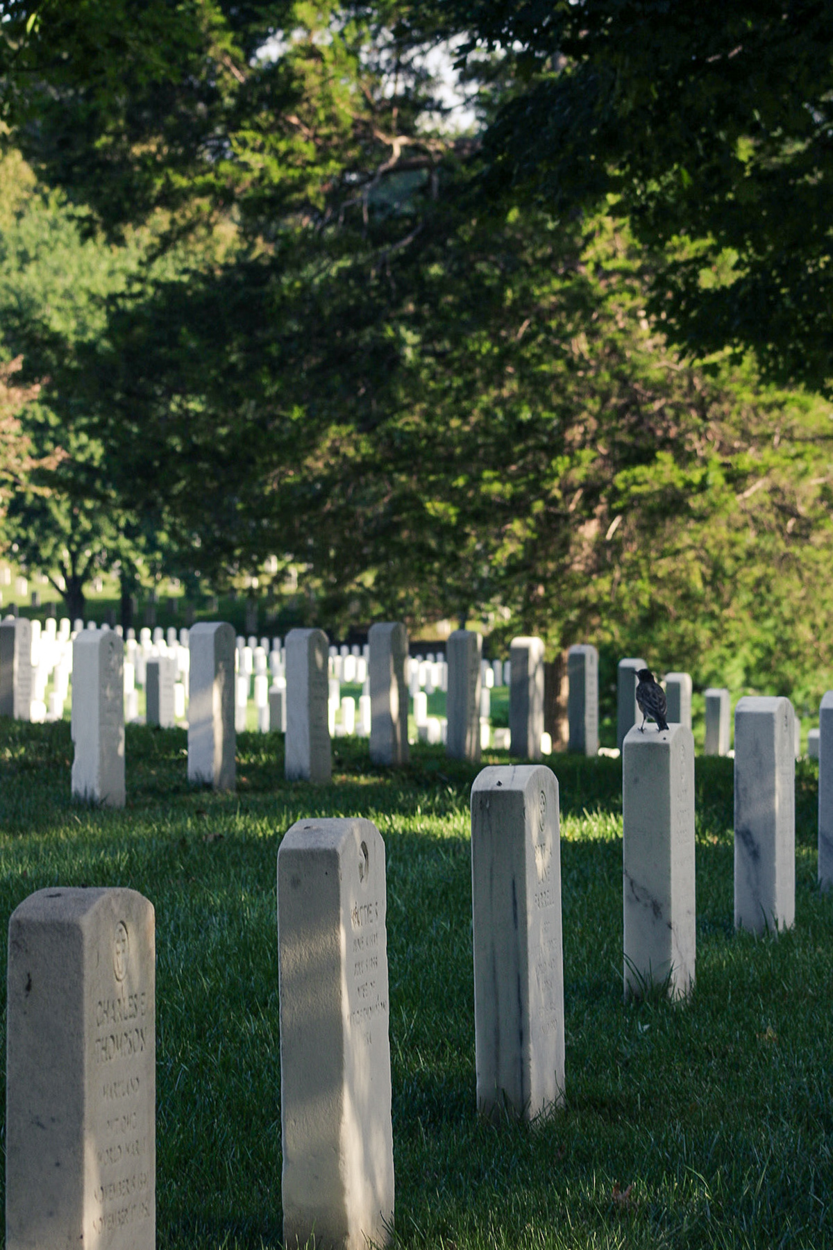 Arlington National Cemetery, DC