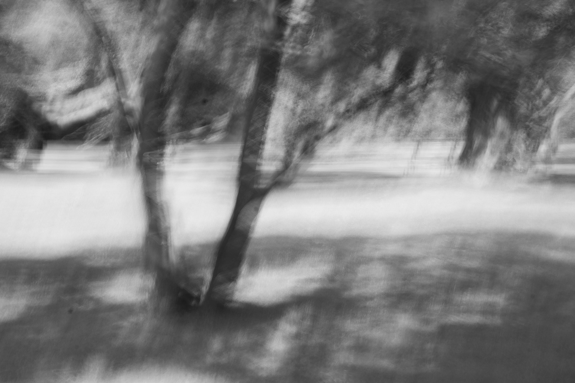 Erbe der Menschheit - Leben