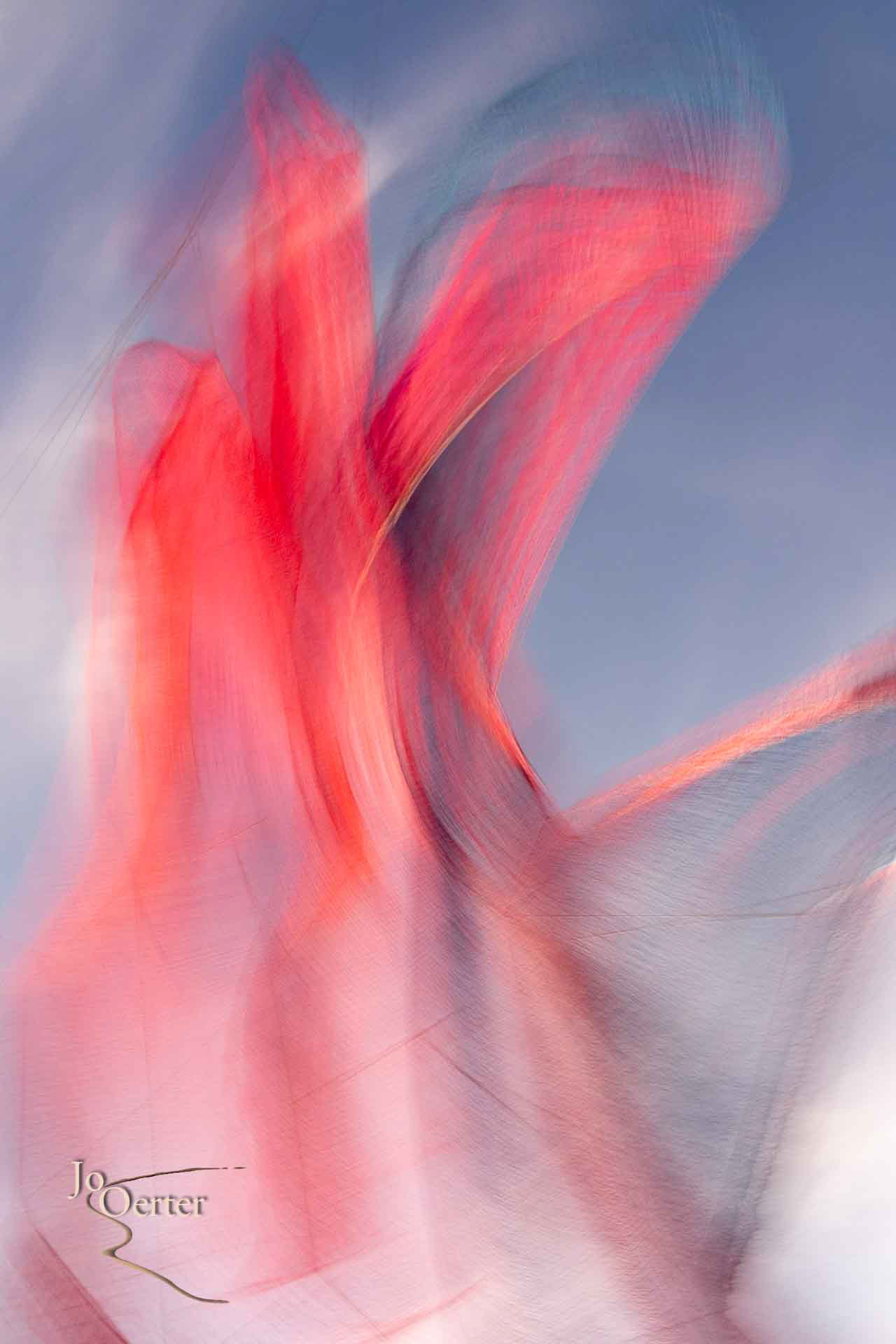 Les Foulards sauvages XVI