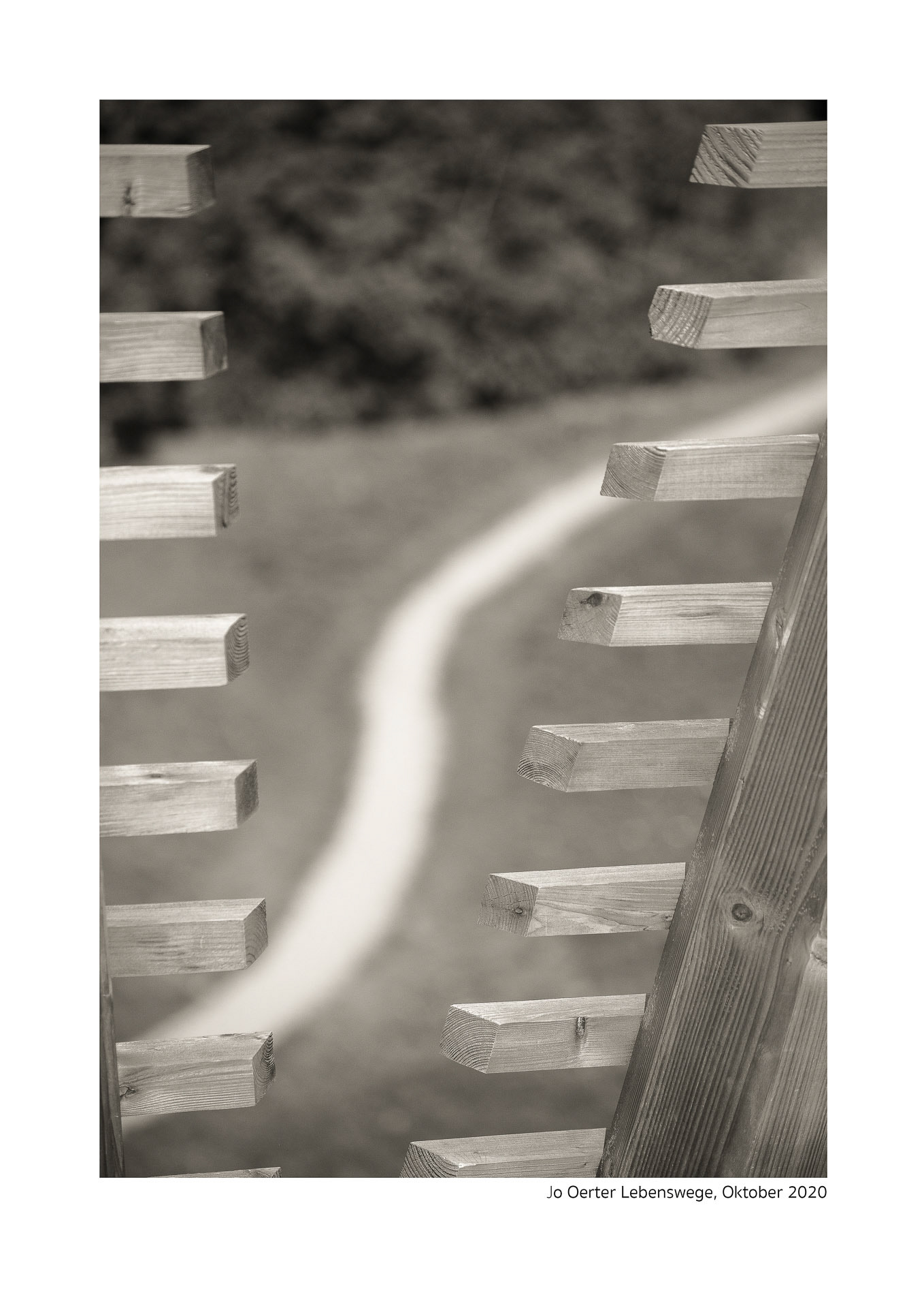 MITeinander  - Lebenswege