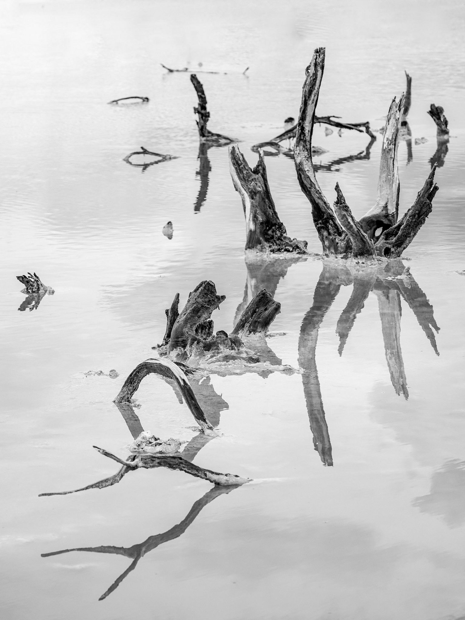 Description of Vicinity I