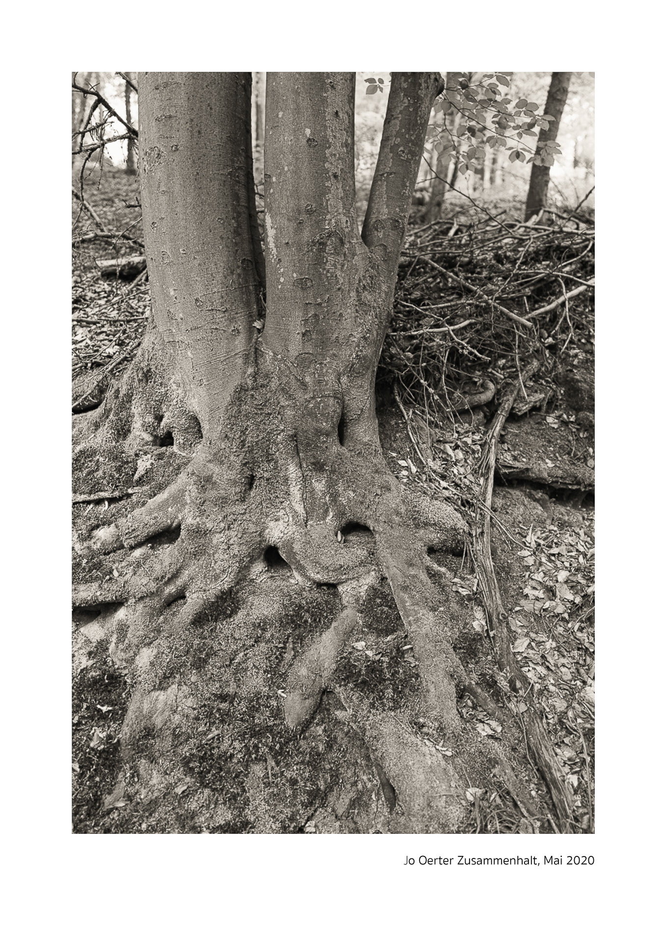 MITeinander - Zusammenhalt