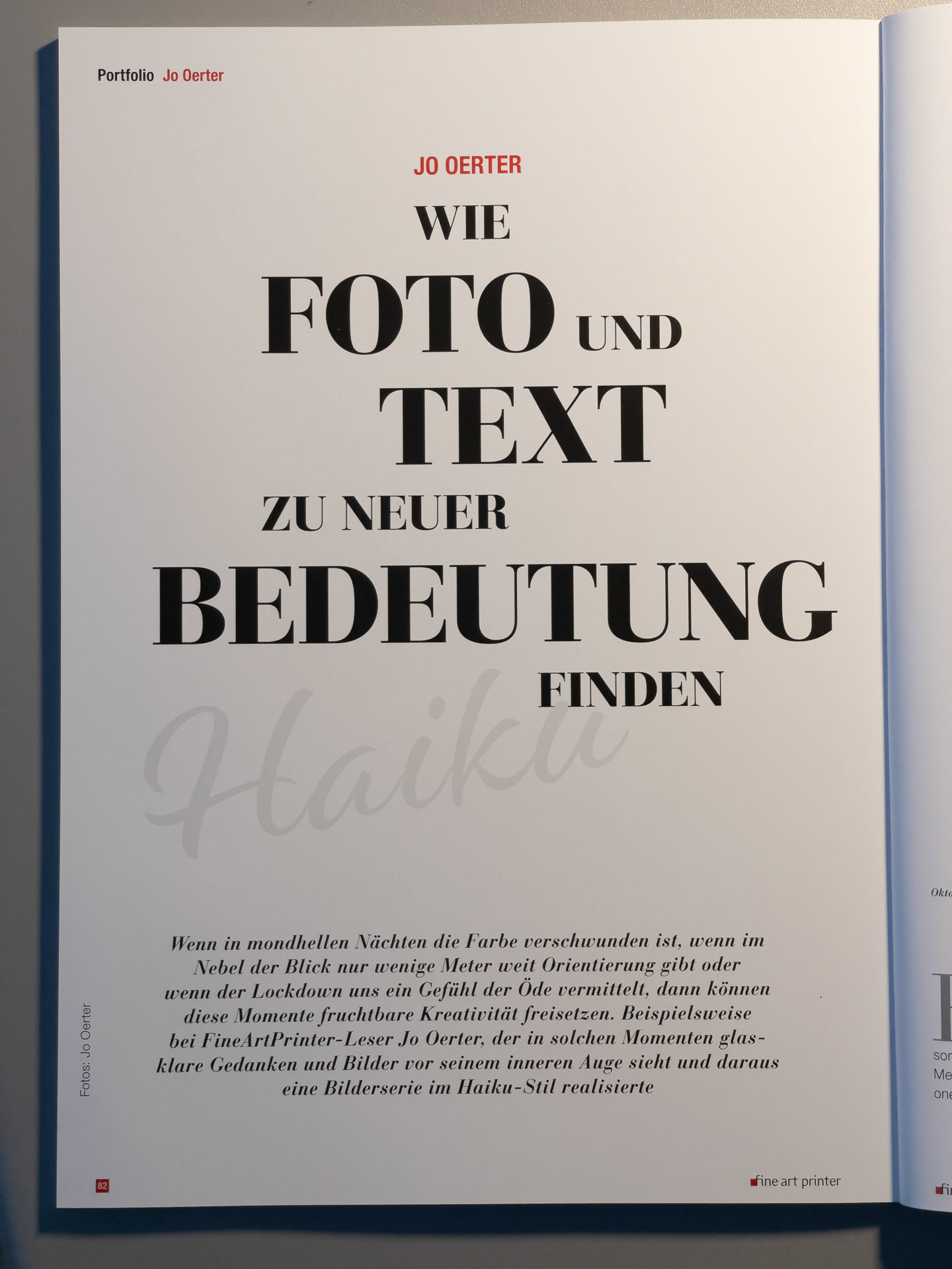 9-seitiger Artikel über die Haikuserie