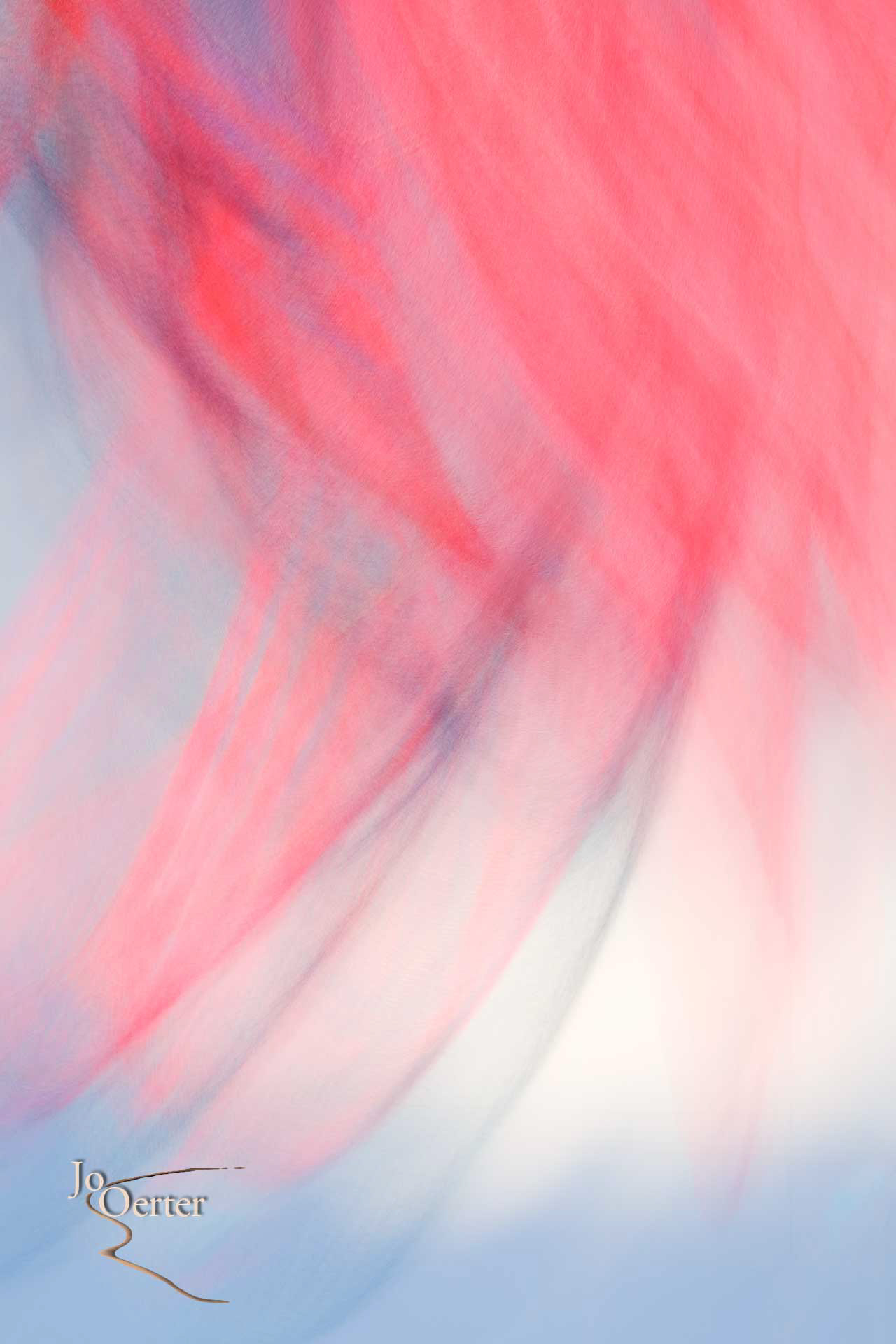 Les Foulards sauvages VII