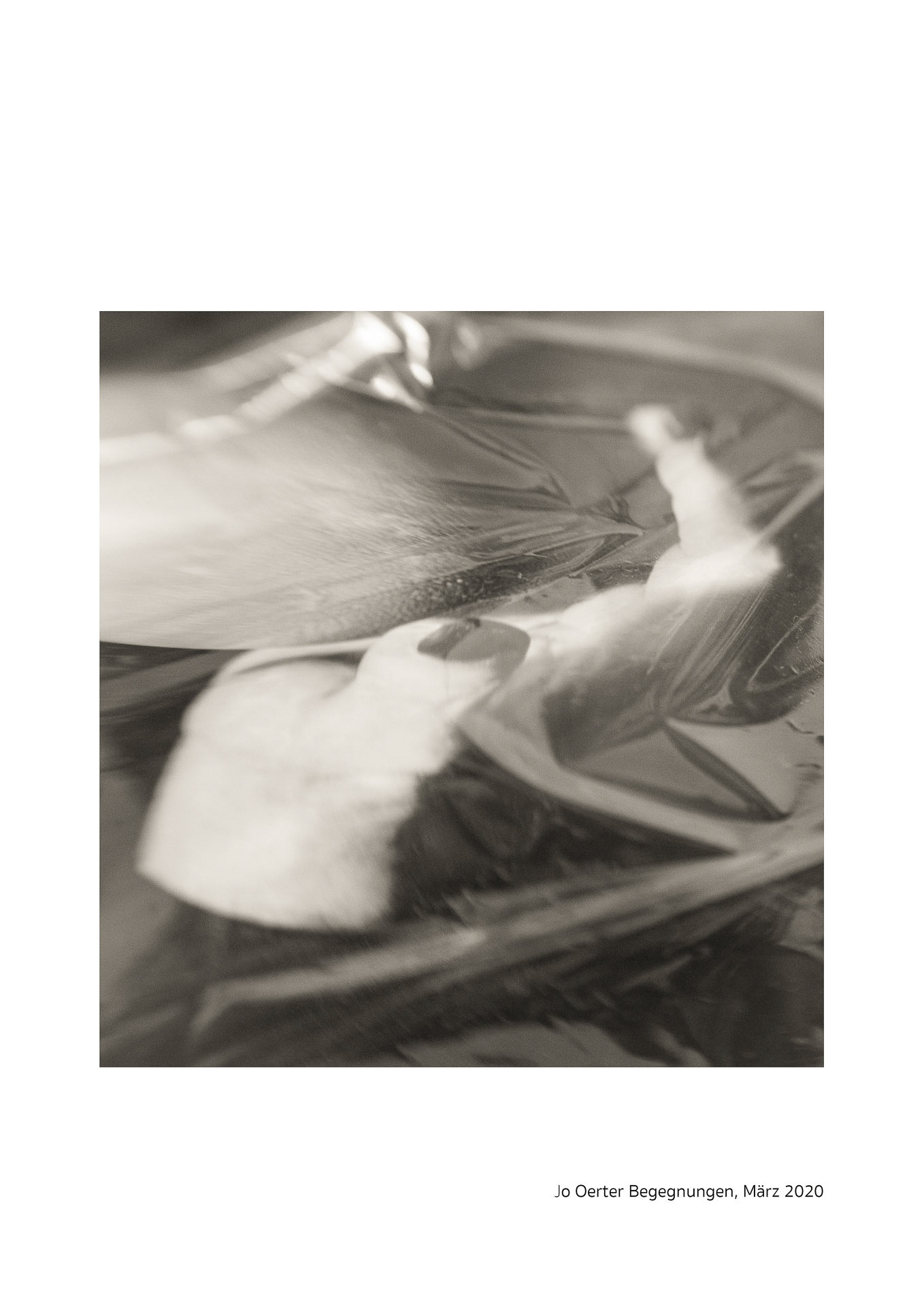 MITeinander  - Begegnungen