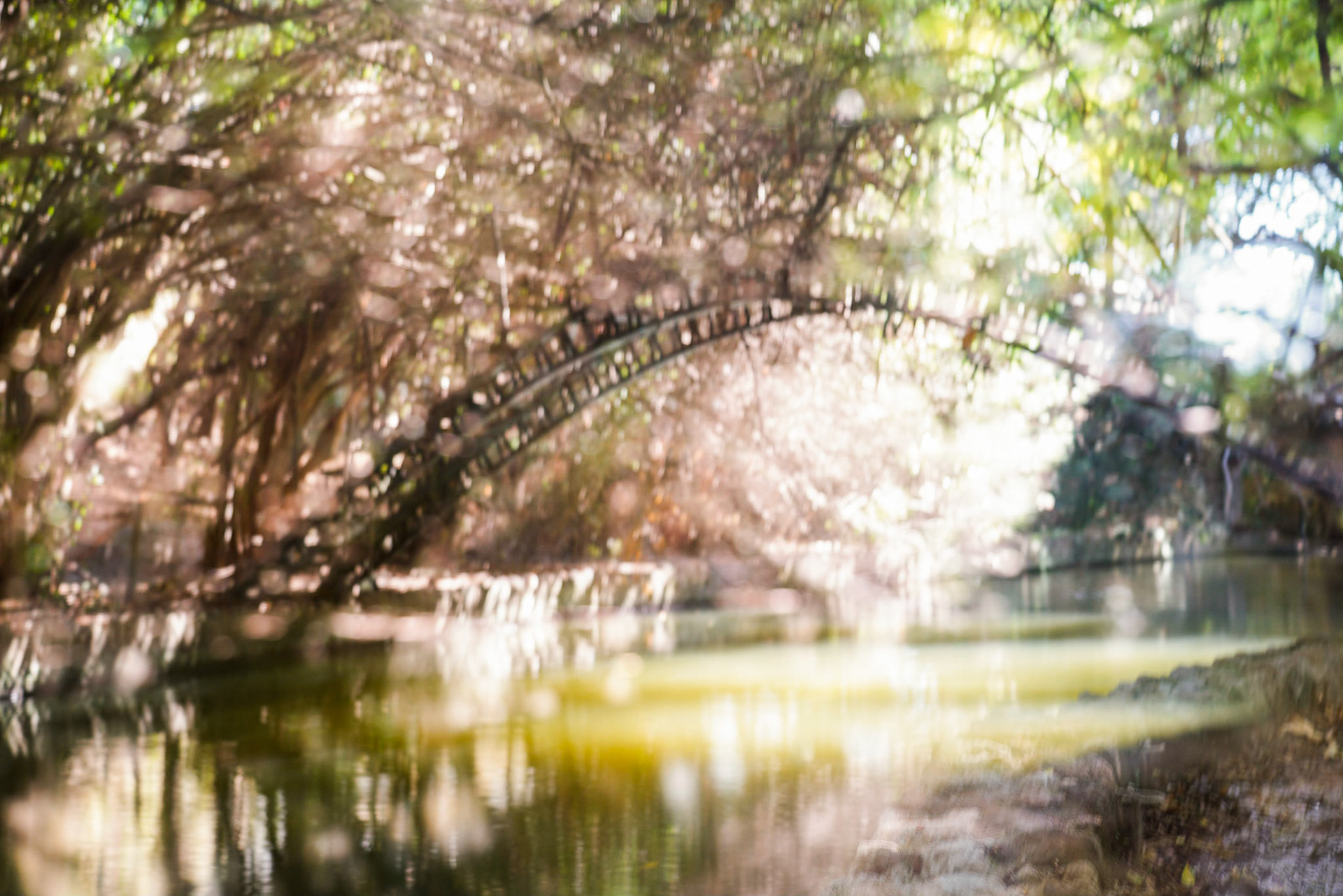 Description of Vicinity IV