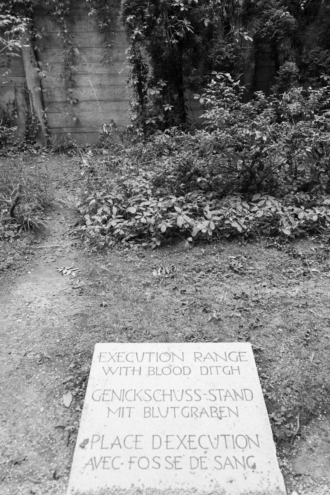 The wall was used for shootings and a semi-ravine was built for the blood.