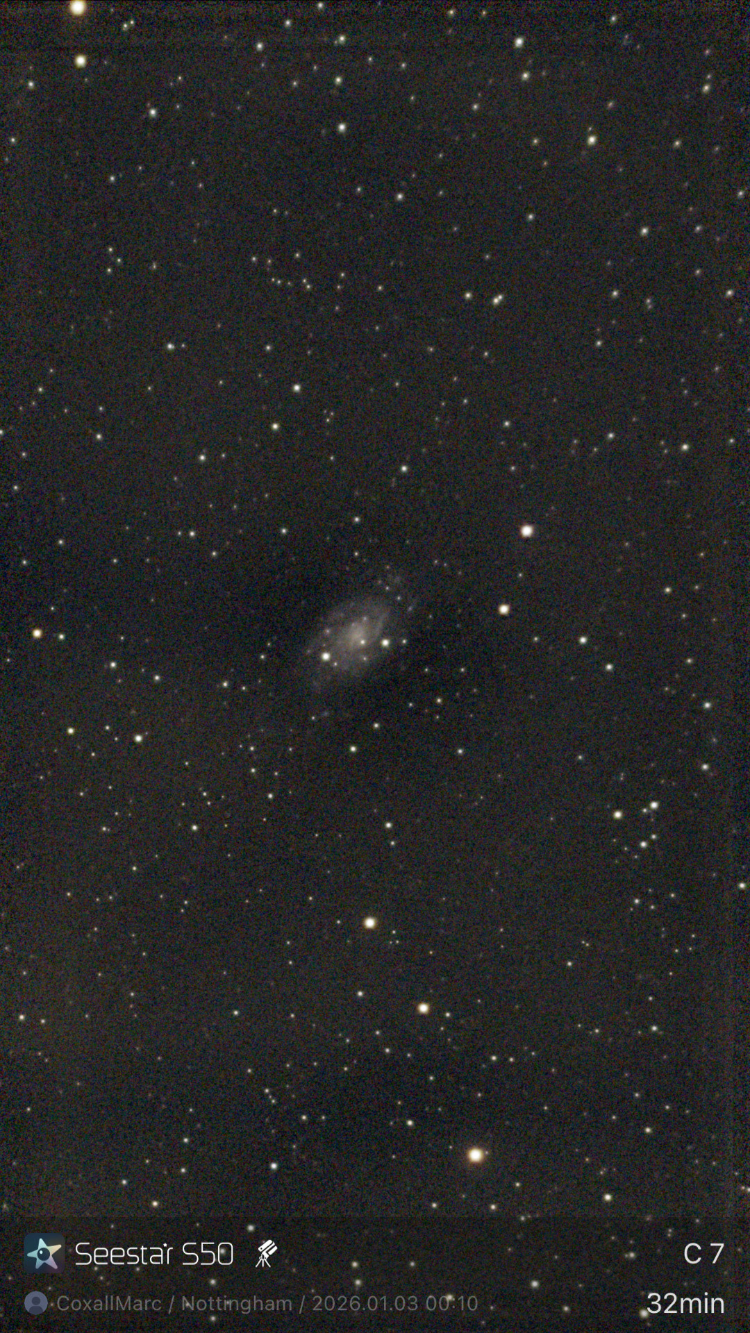 M 31