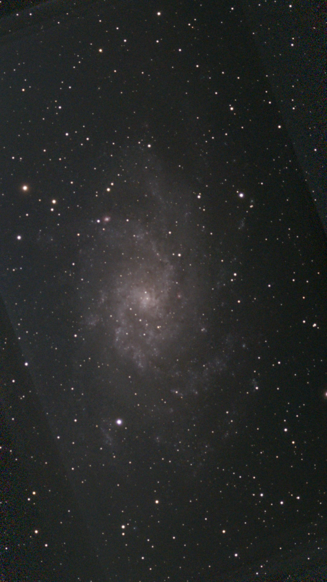M 33