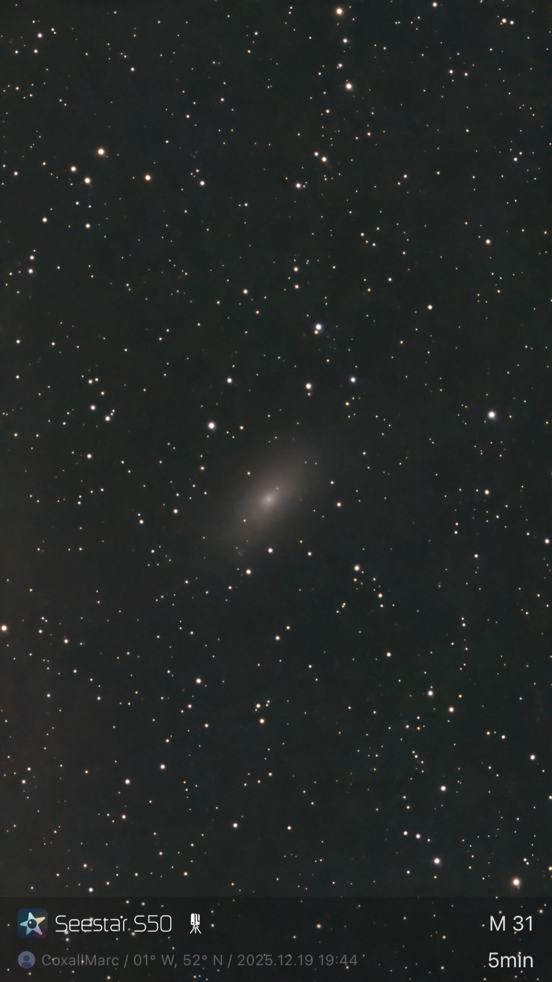 M 31