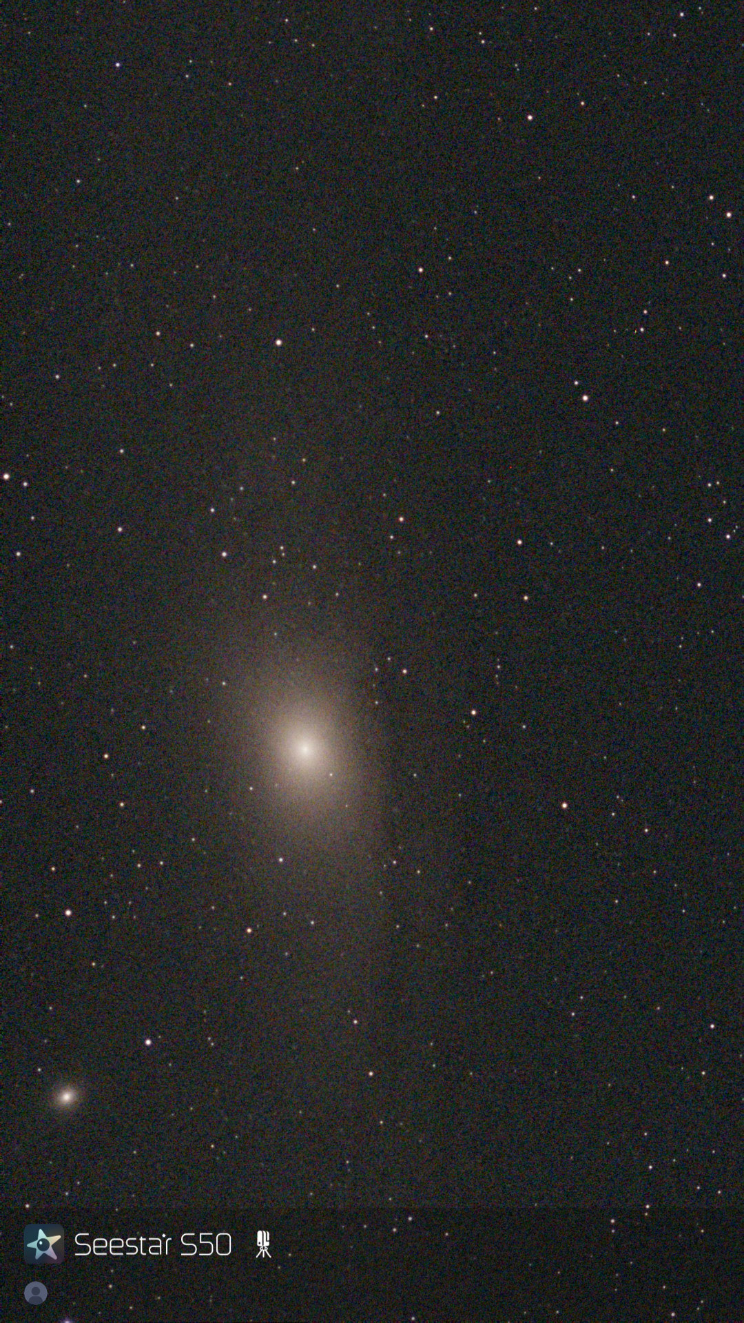 M 31