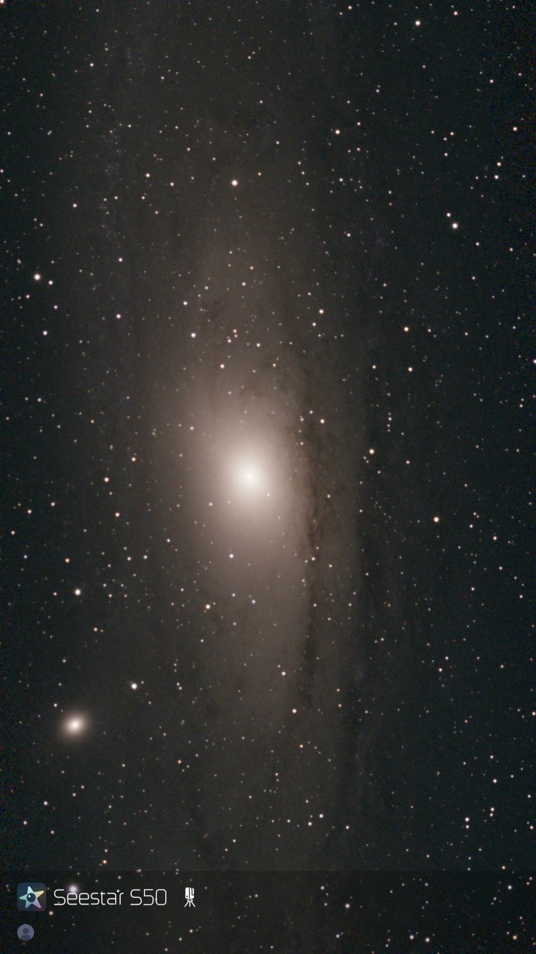 M 31