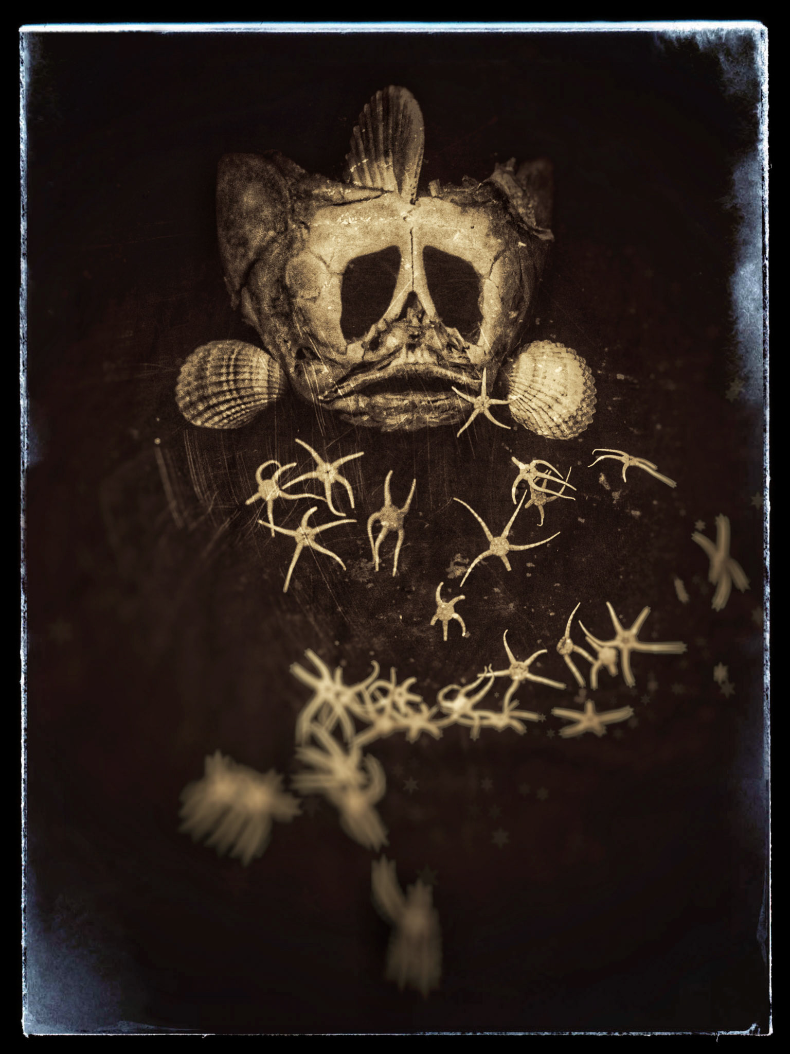 Master of the Sea - Wetplate