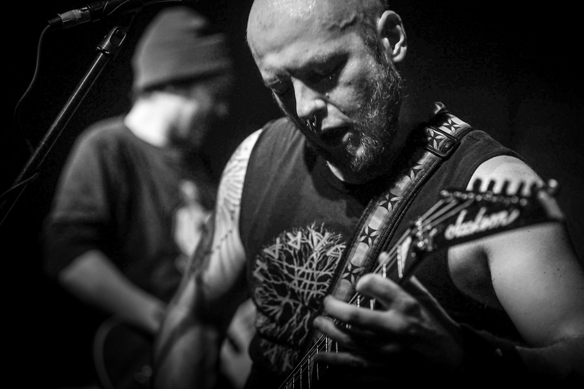 Halfsies on a Bastard, 2017