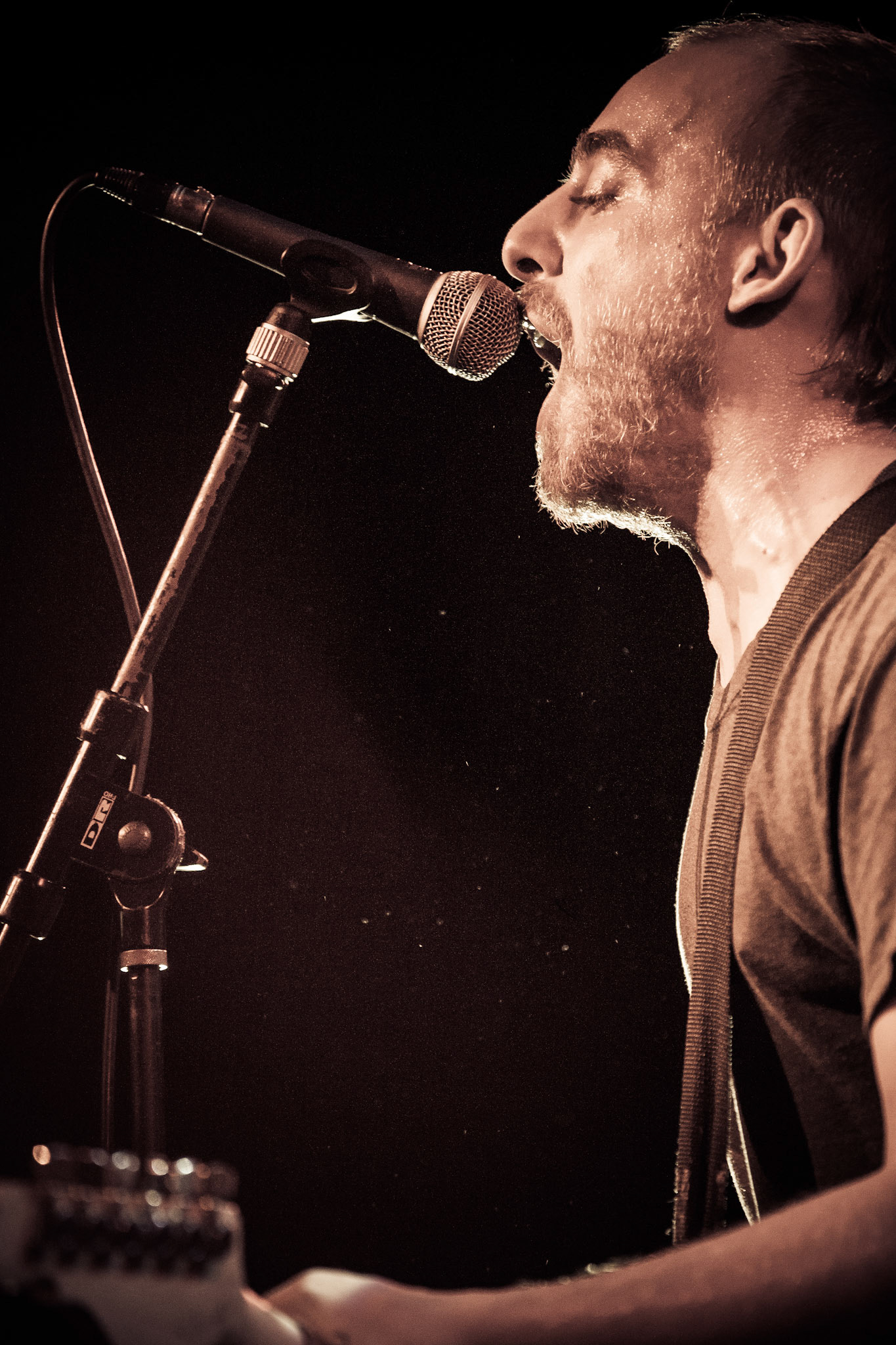 The Menzingers, 2010