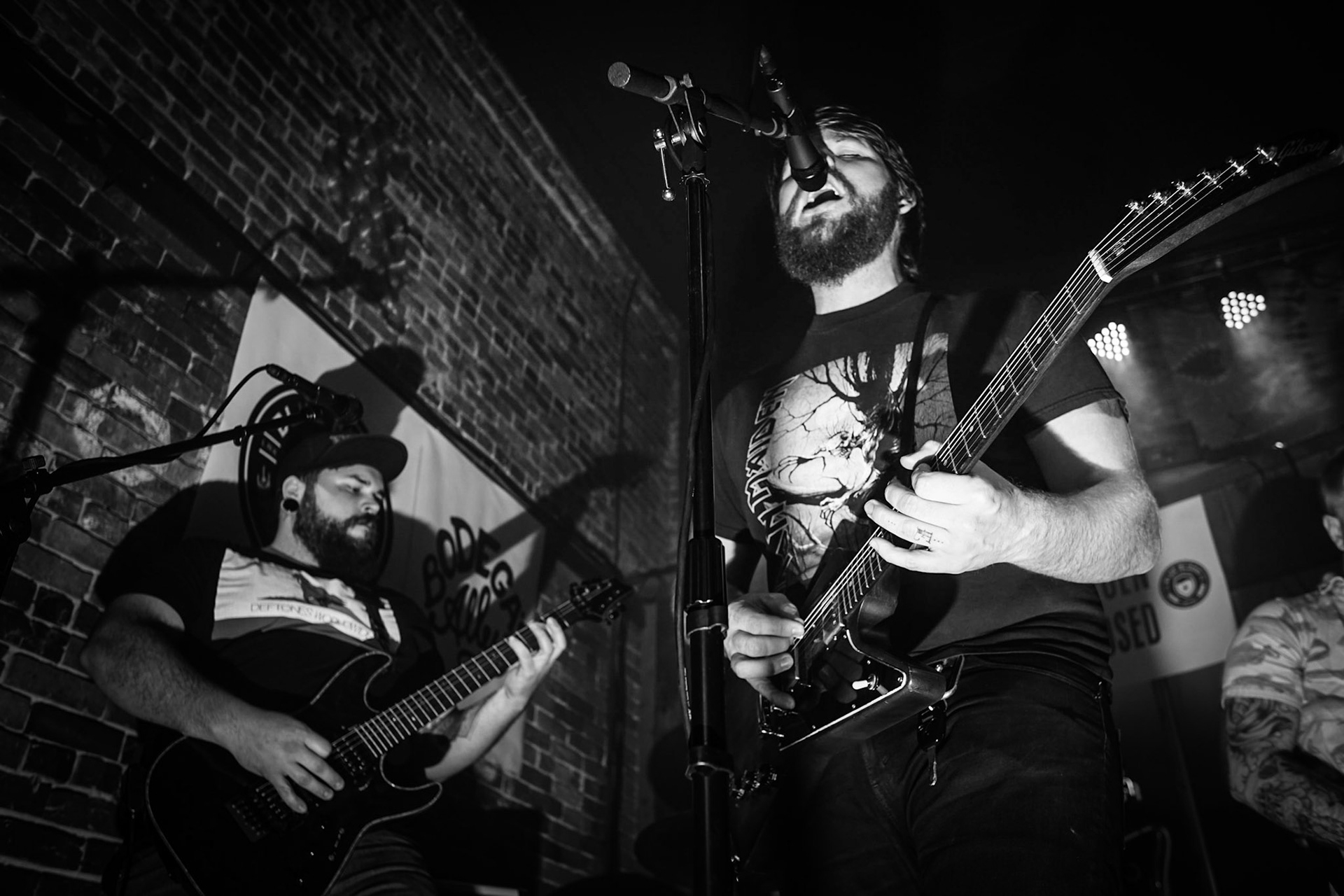 A Different Breed, 2017