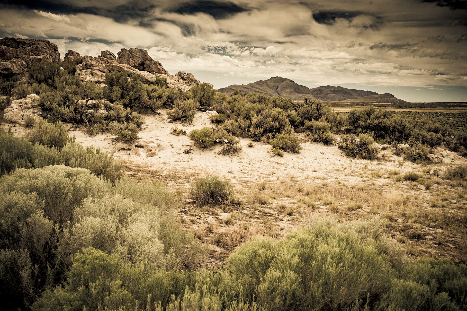 Antelope Island III, 2015