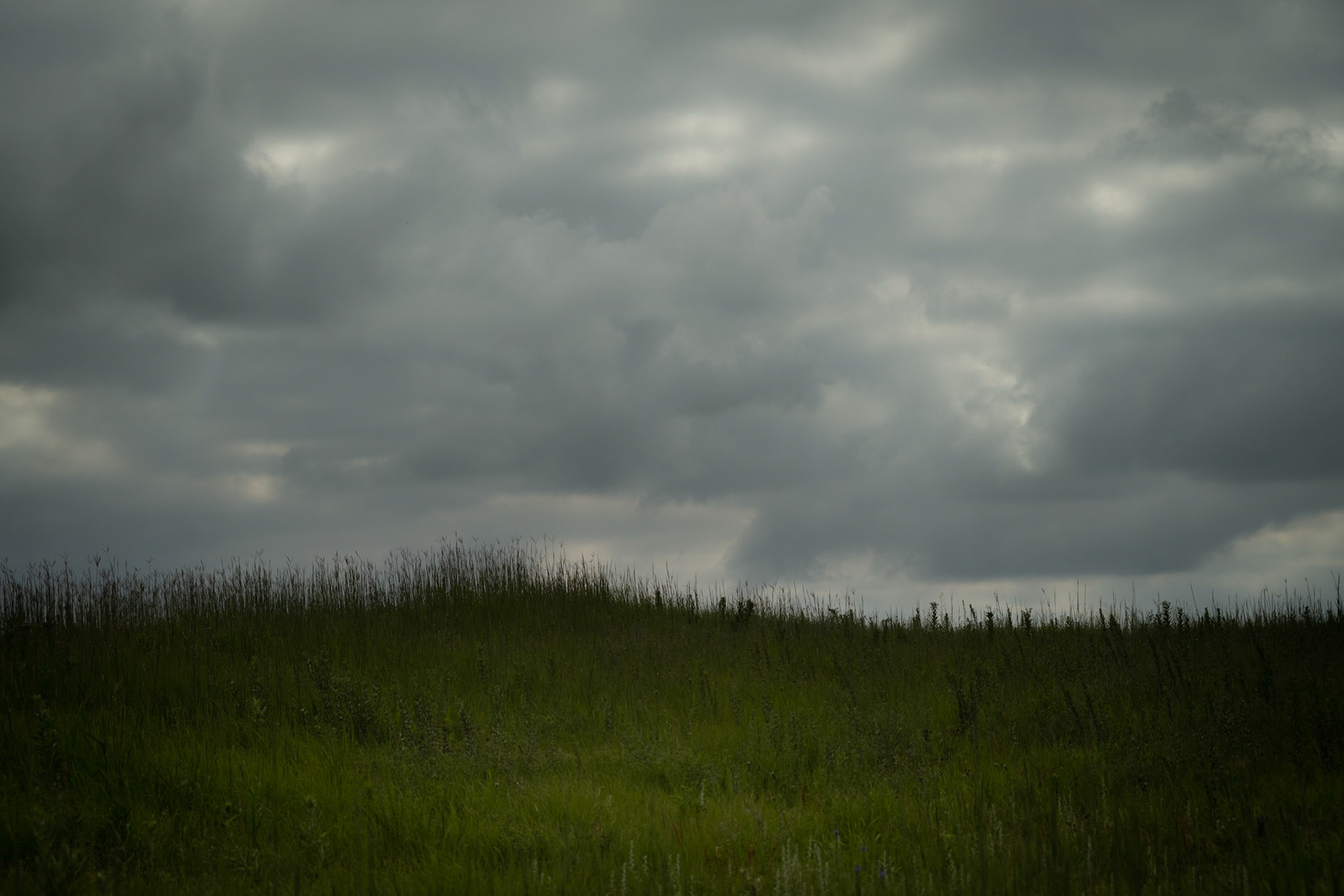 Nine Mile Prairie, 2020