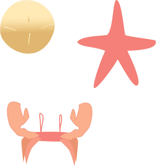 Crab, Starfish, Shell