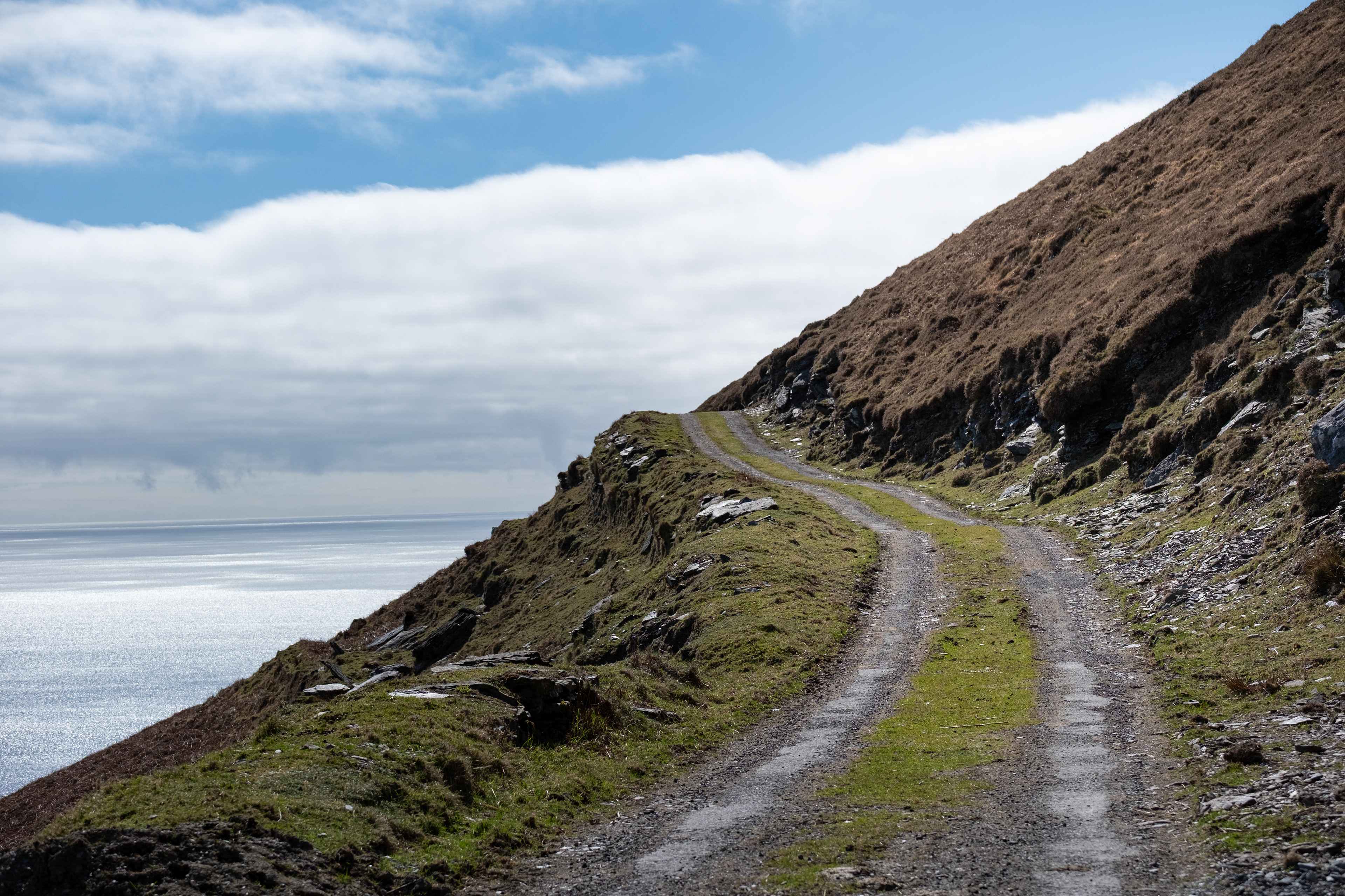 © All rights reserved, Annabelle Hamil 2025