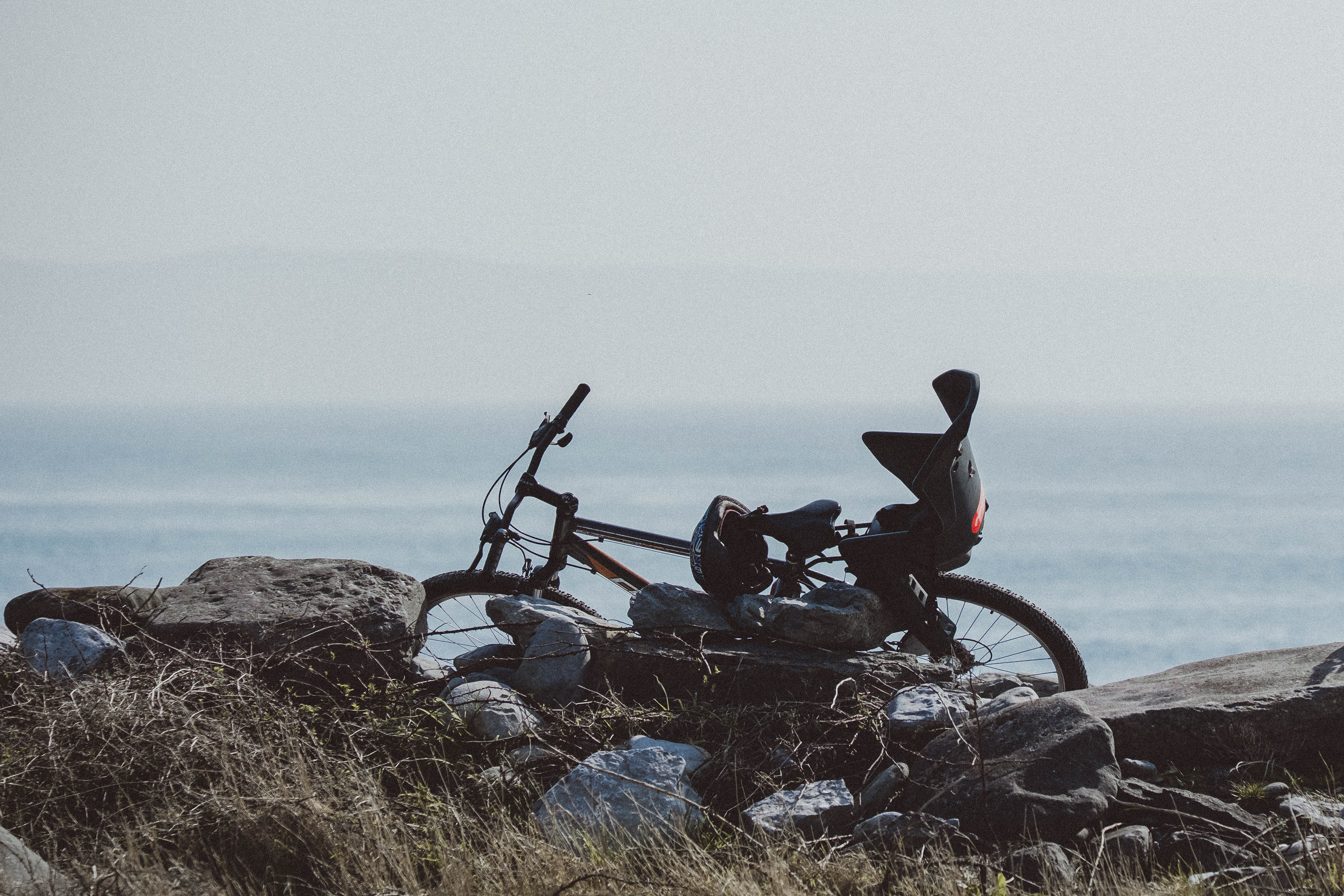         © 2026 Annabelle Hamil All rights reserved