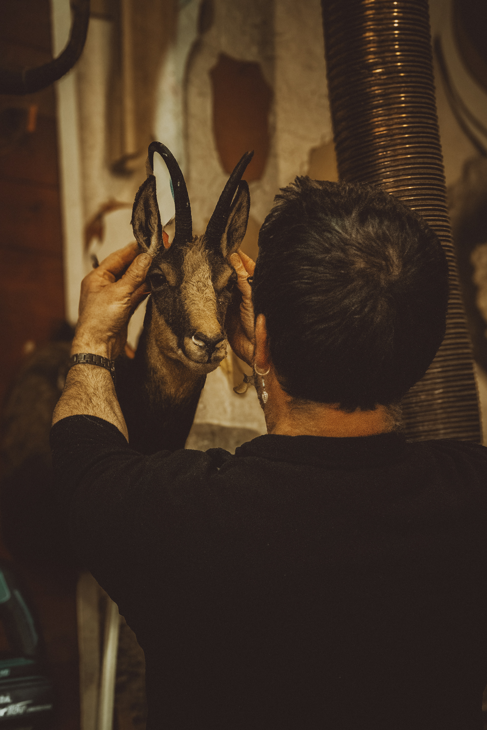 © All rights reserved, Annabelle Hamil 2025