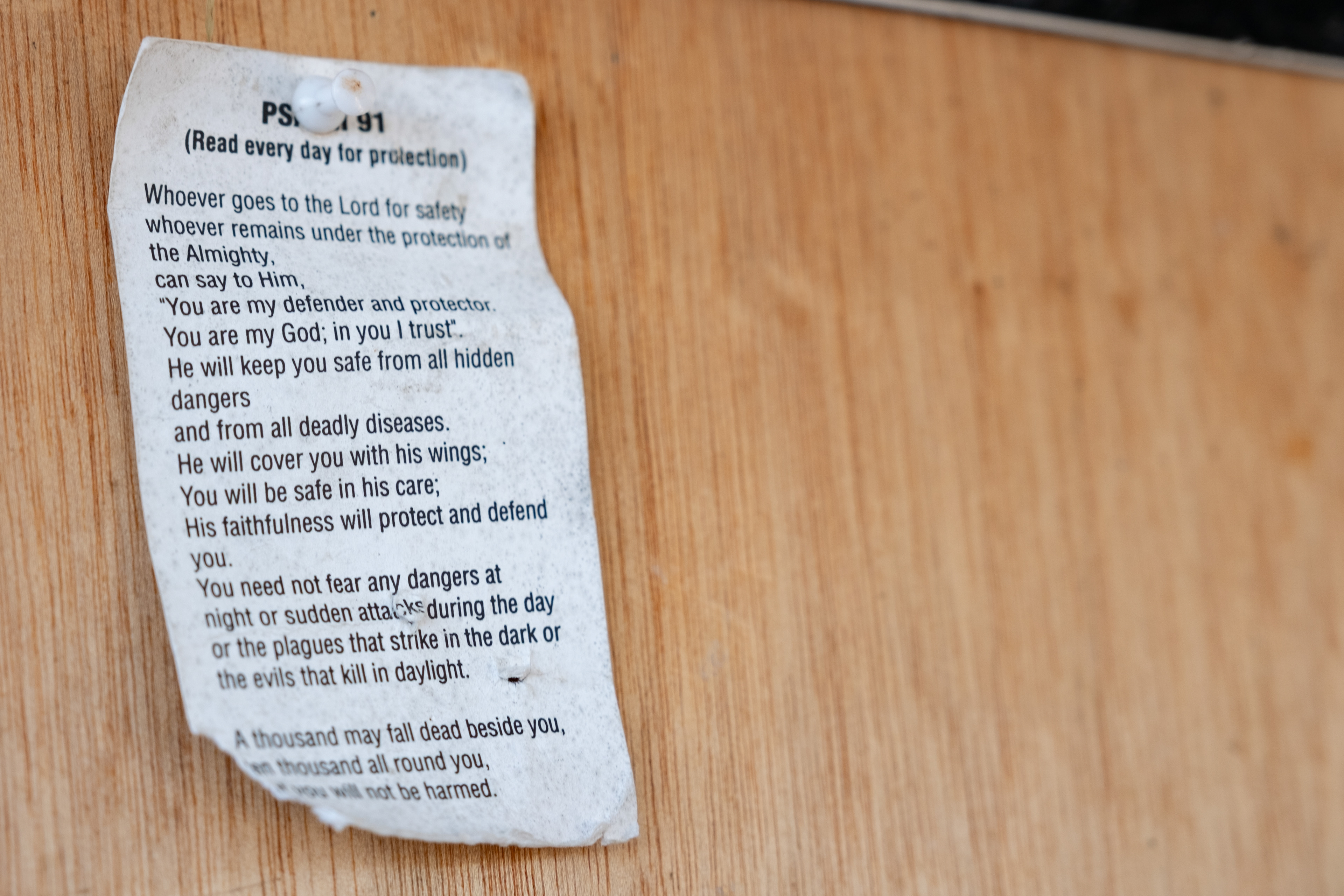 © All rights reserved, Annabelle Hamil 2025