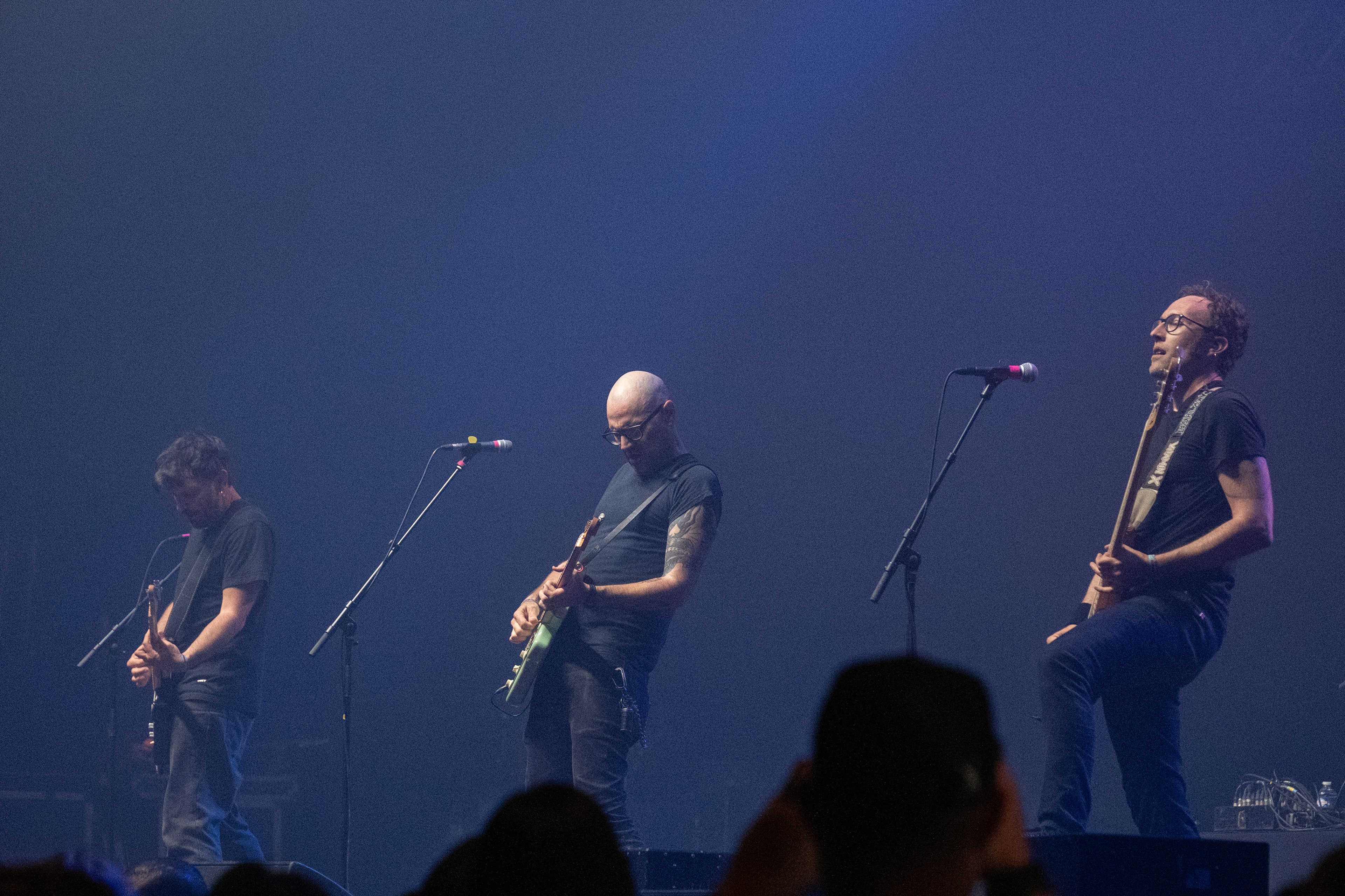 Not Scientists © All rights reserved, Annabelle Hamil