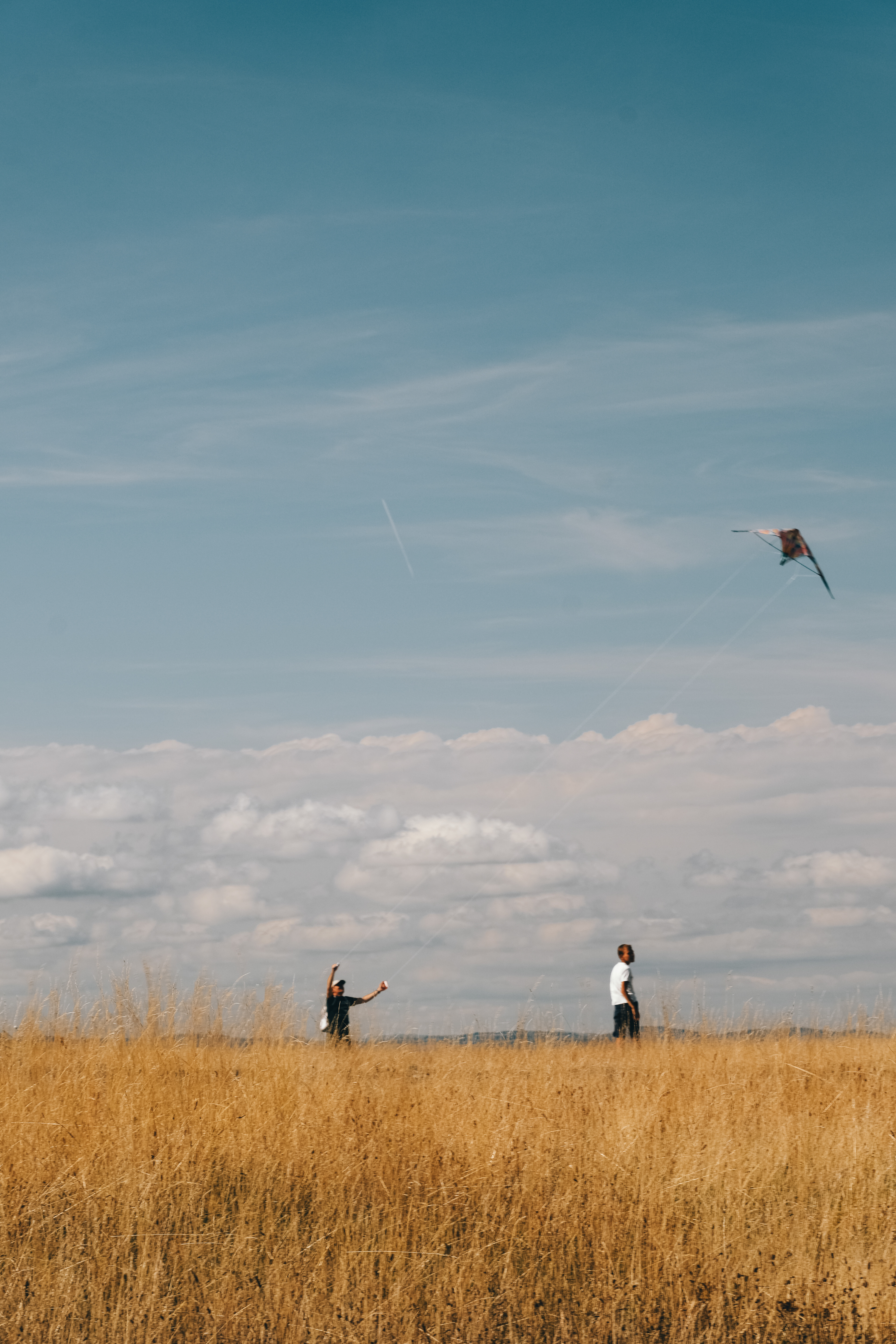 © All rights reserved, Annabelle Hamil 2025