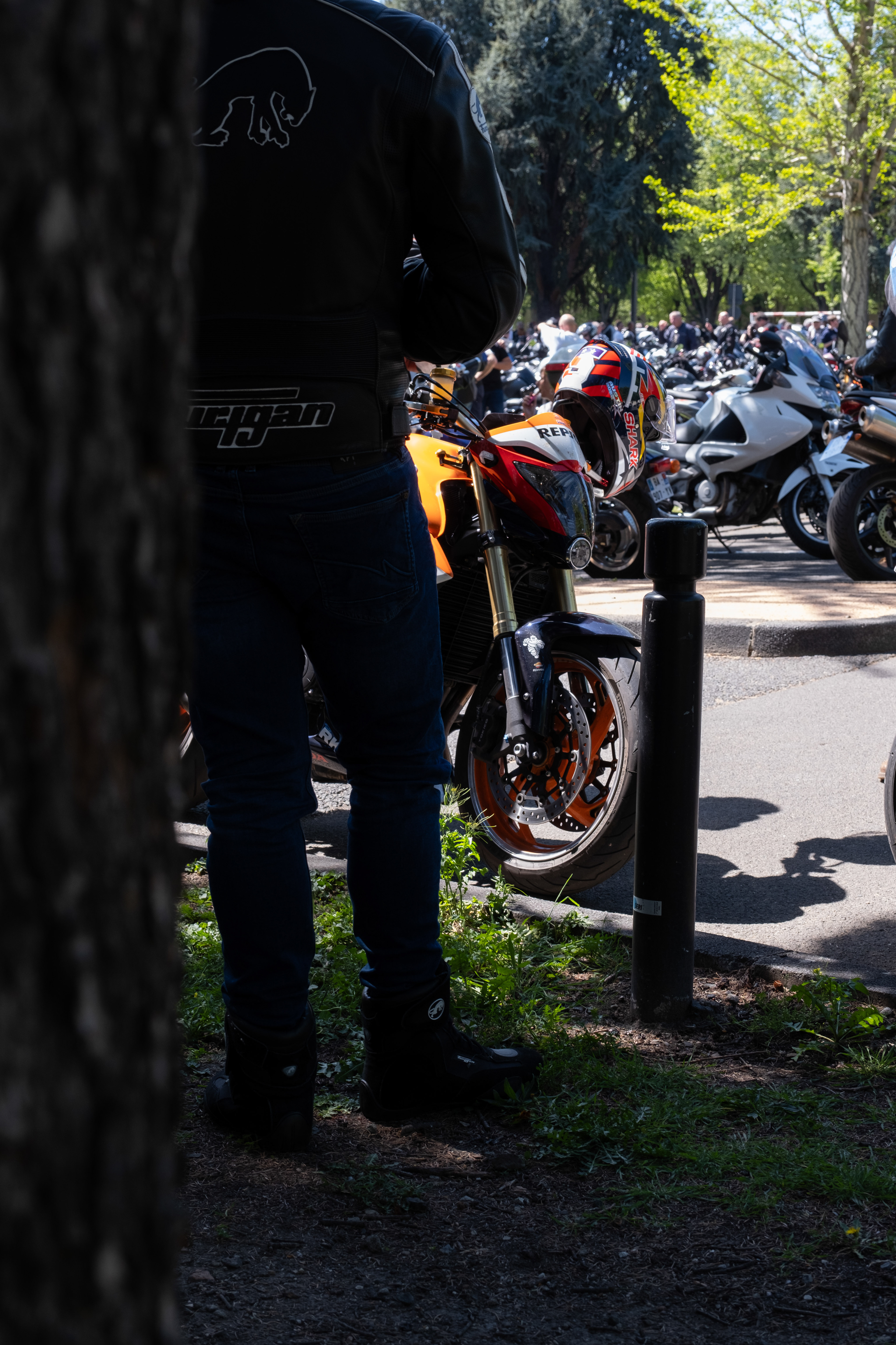 © All rights reserved, Annabelle Hamil