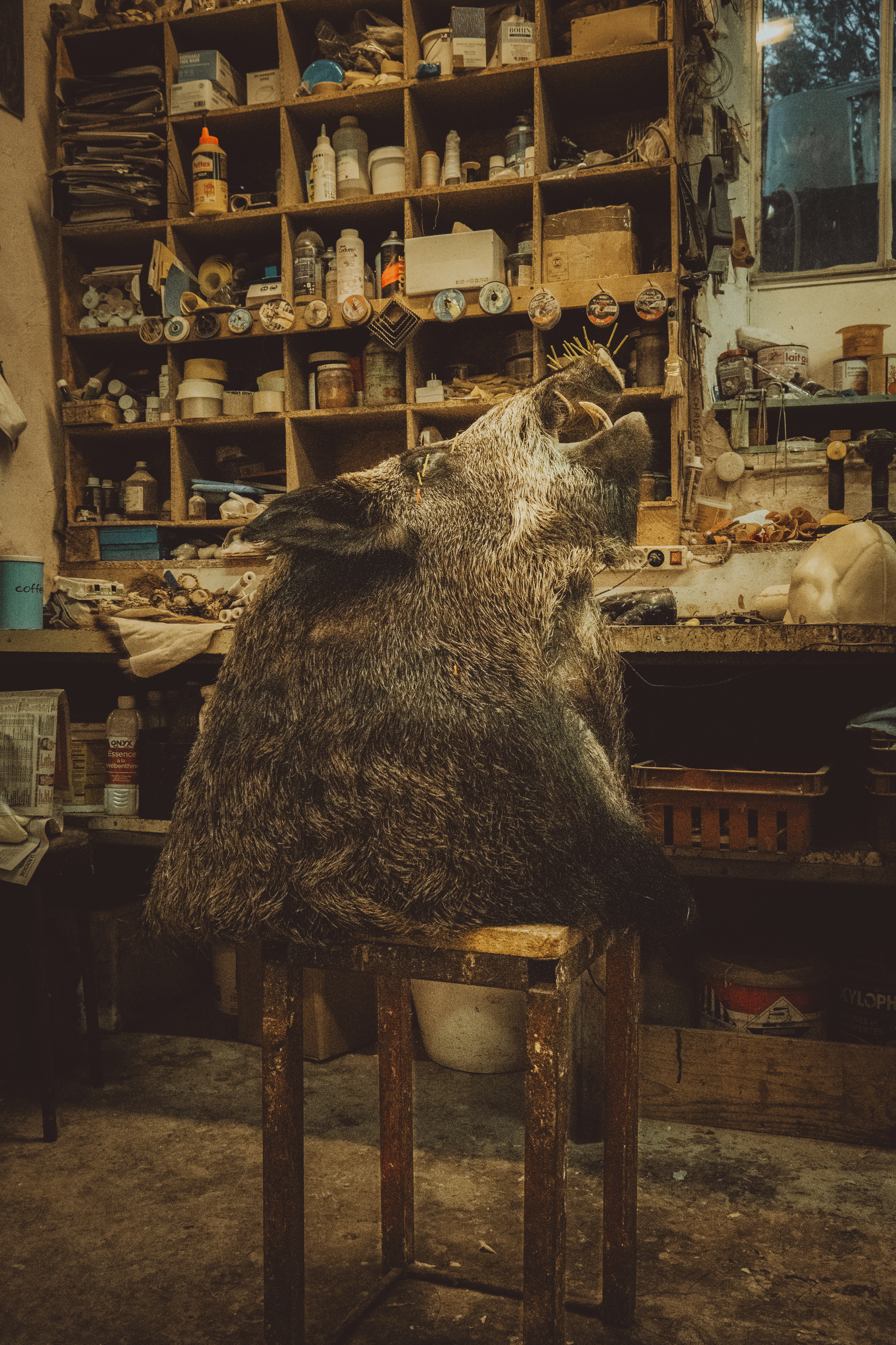 © All rights reserved, Annabelle Hamil 2025