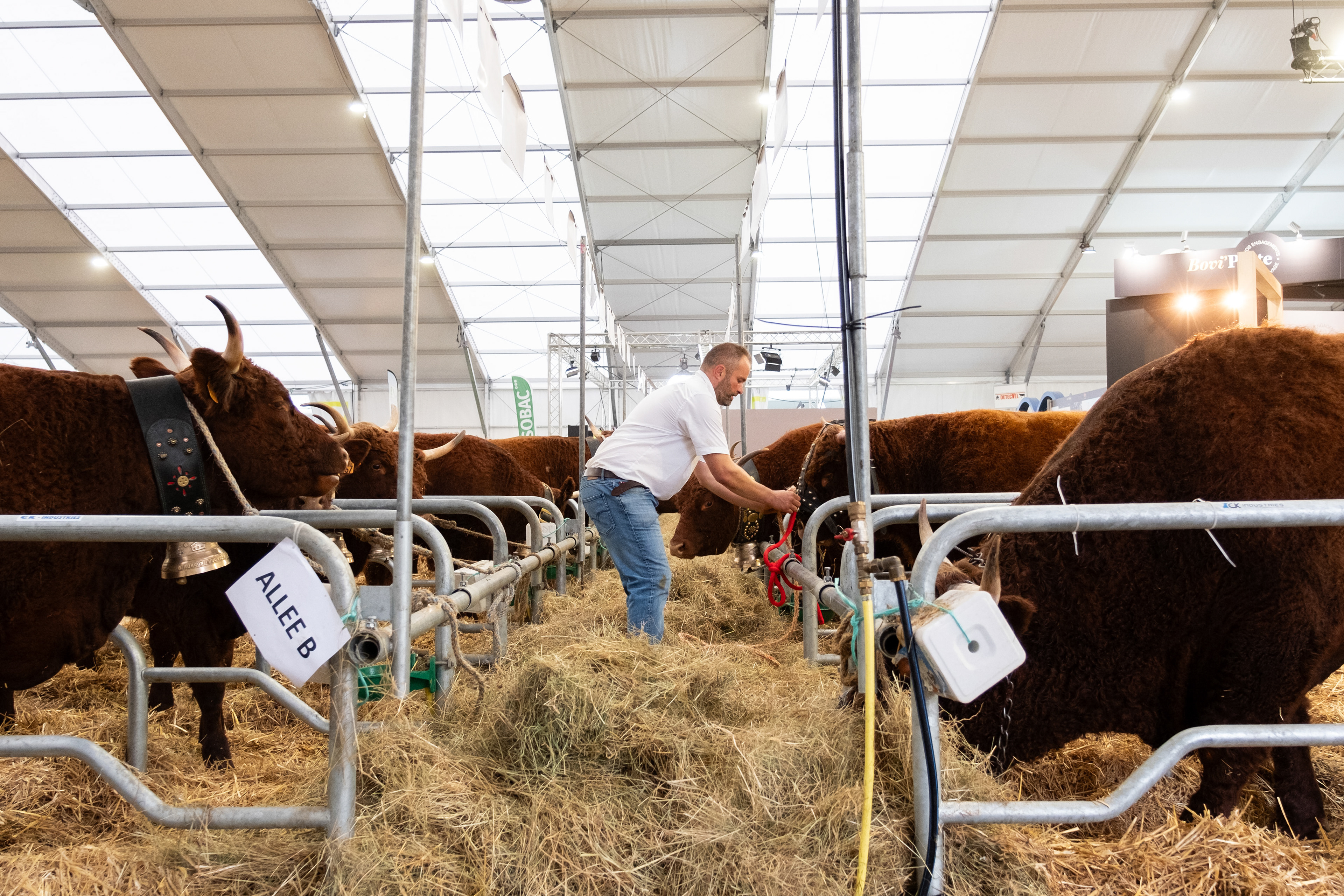 © All rights reserved, Annabelle Hamil 2026