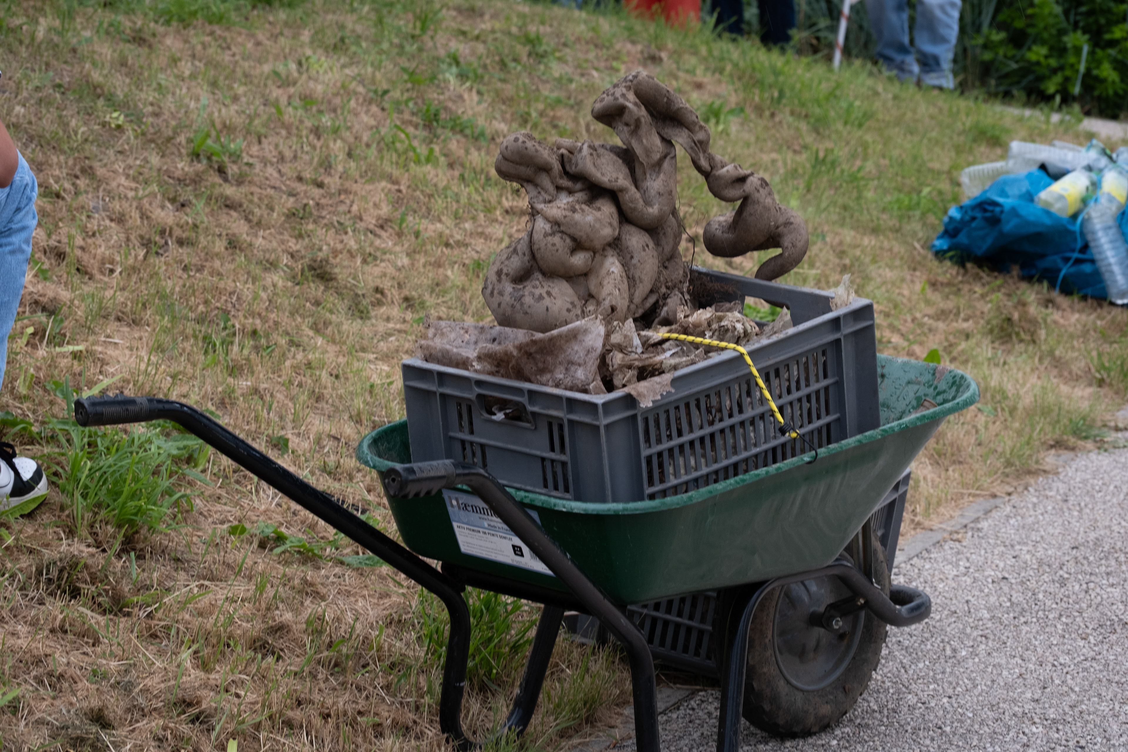 © All rights reserved, Annabelle Hamil