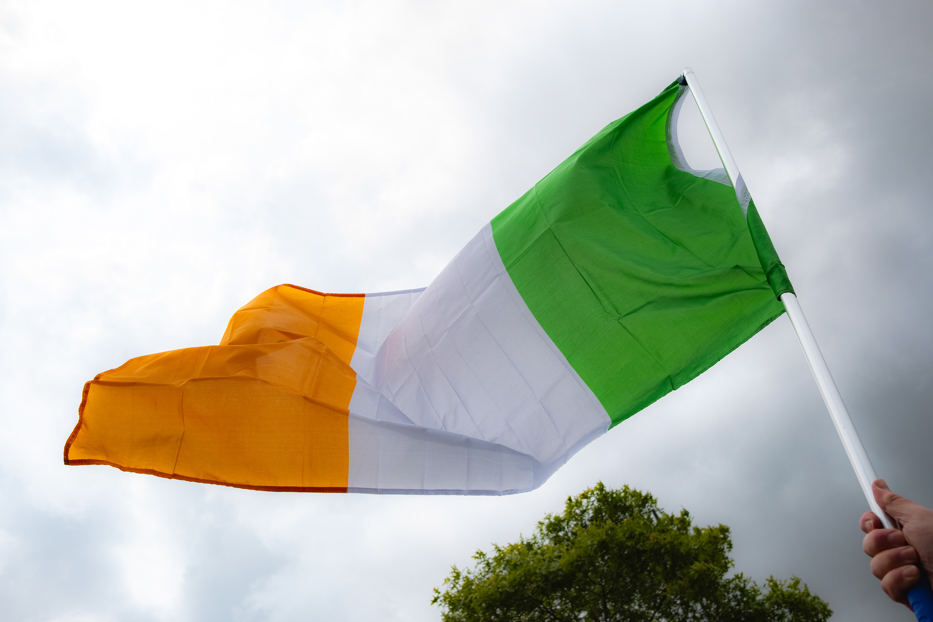 © All rights reserved, Annabelle Hamil