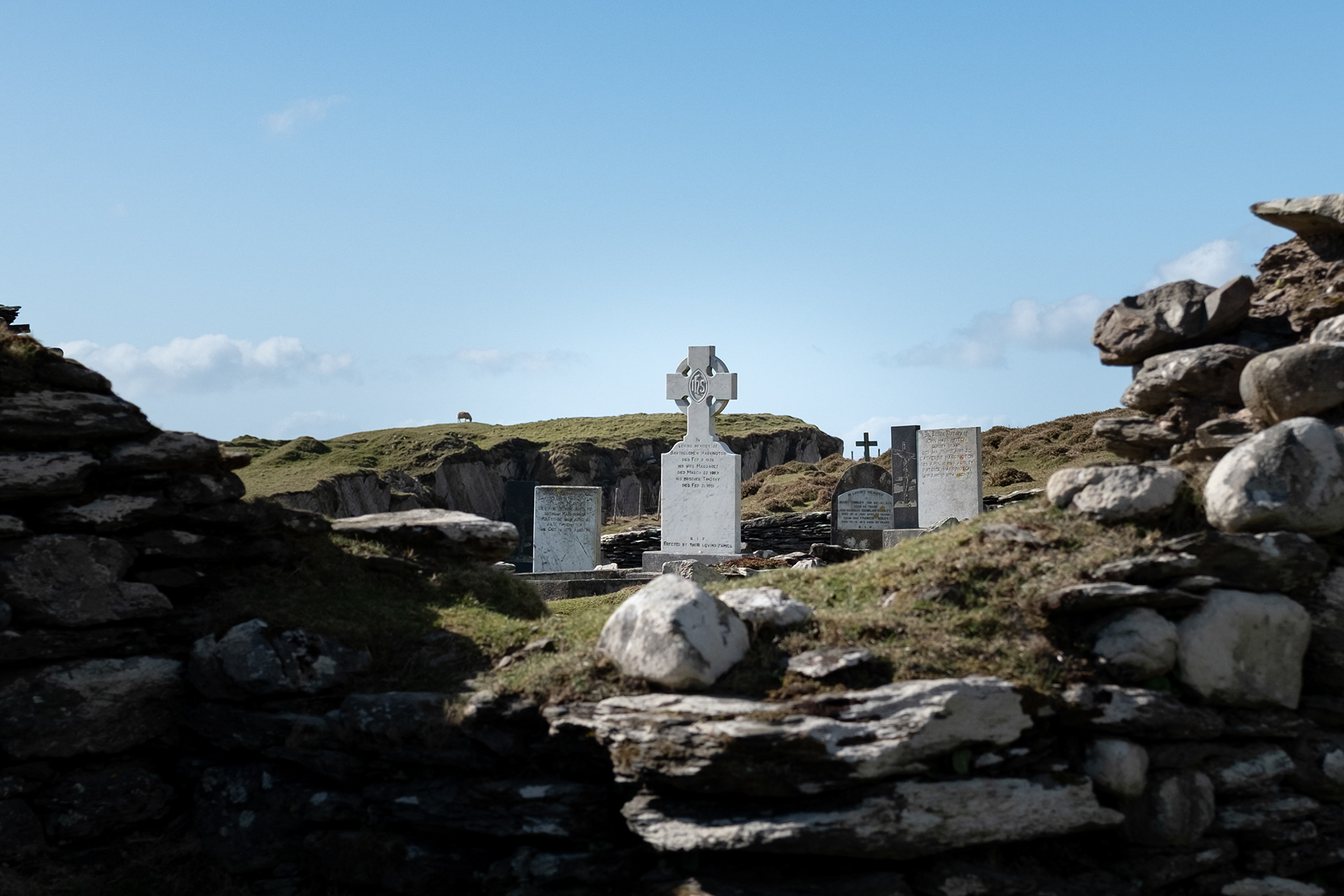 © All rights reserved, Annabelle Hamil 2025