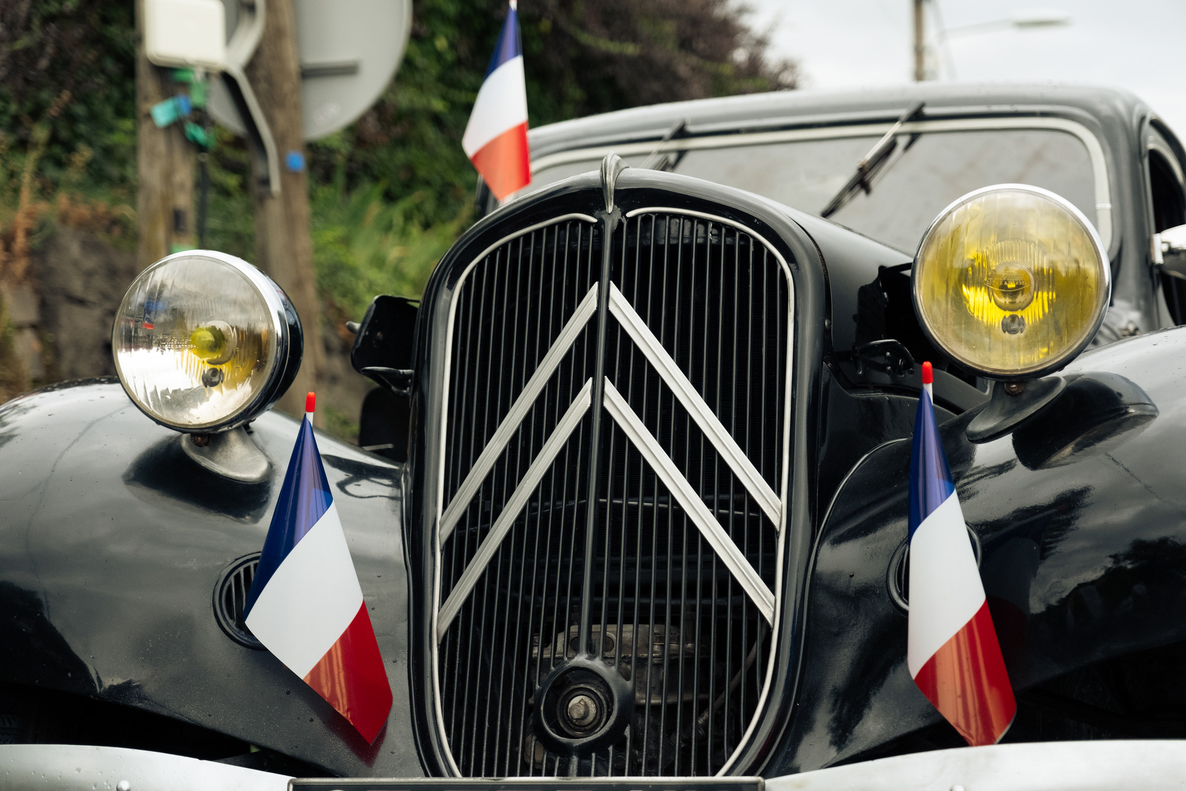 © All rights reserved, Annabelle Hamil 2025