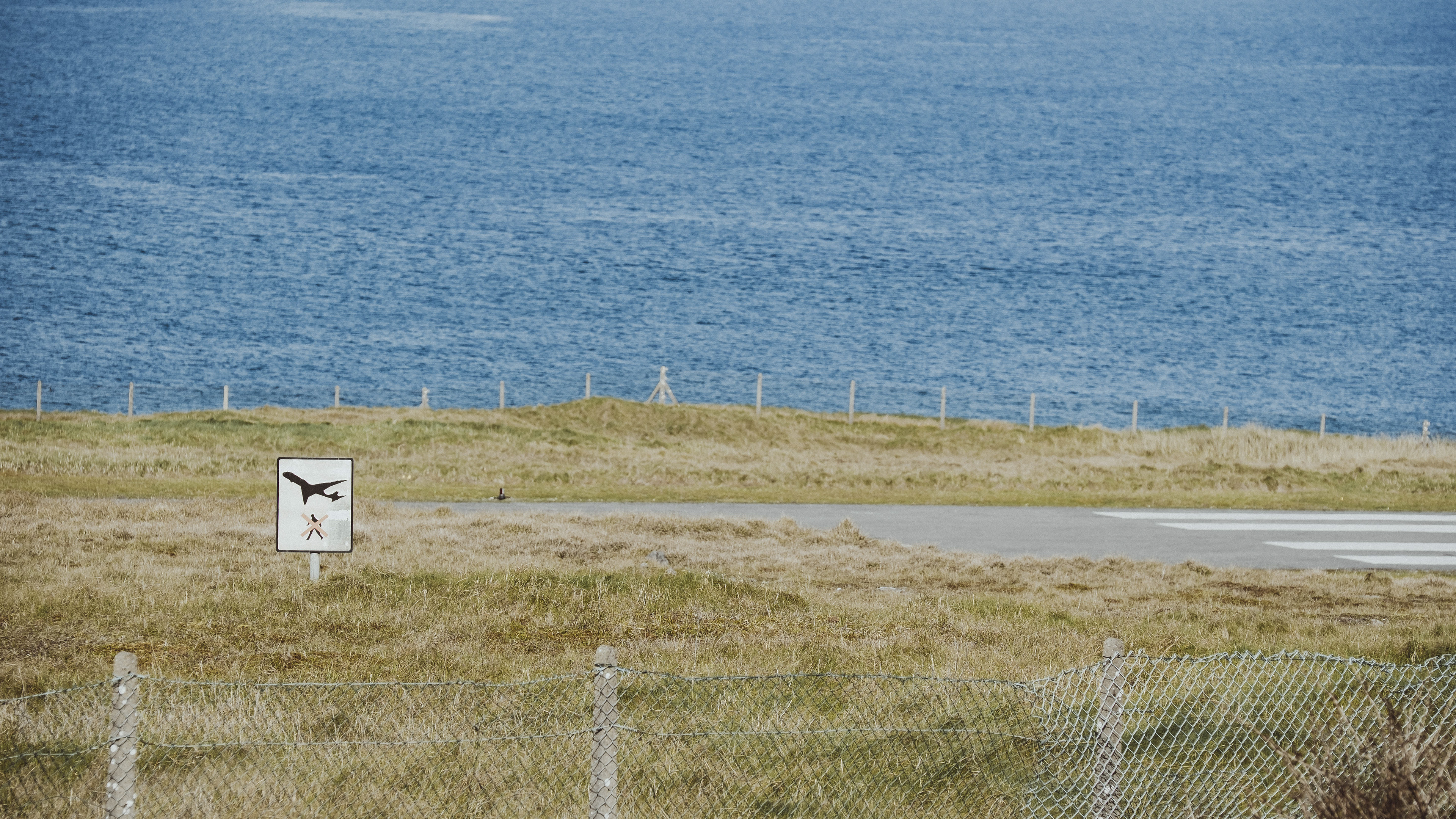         © 2026 Annabelle Hamil All rights reserved