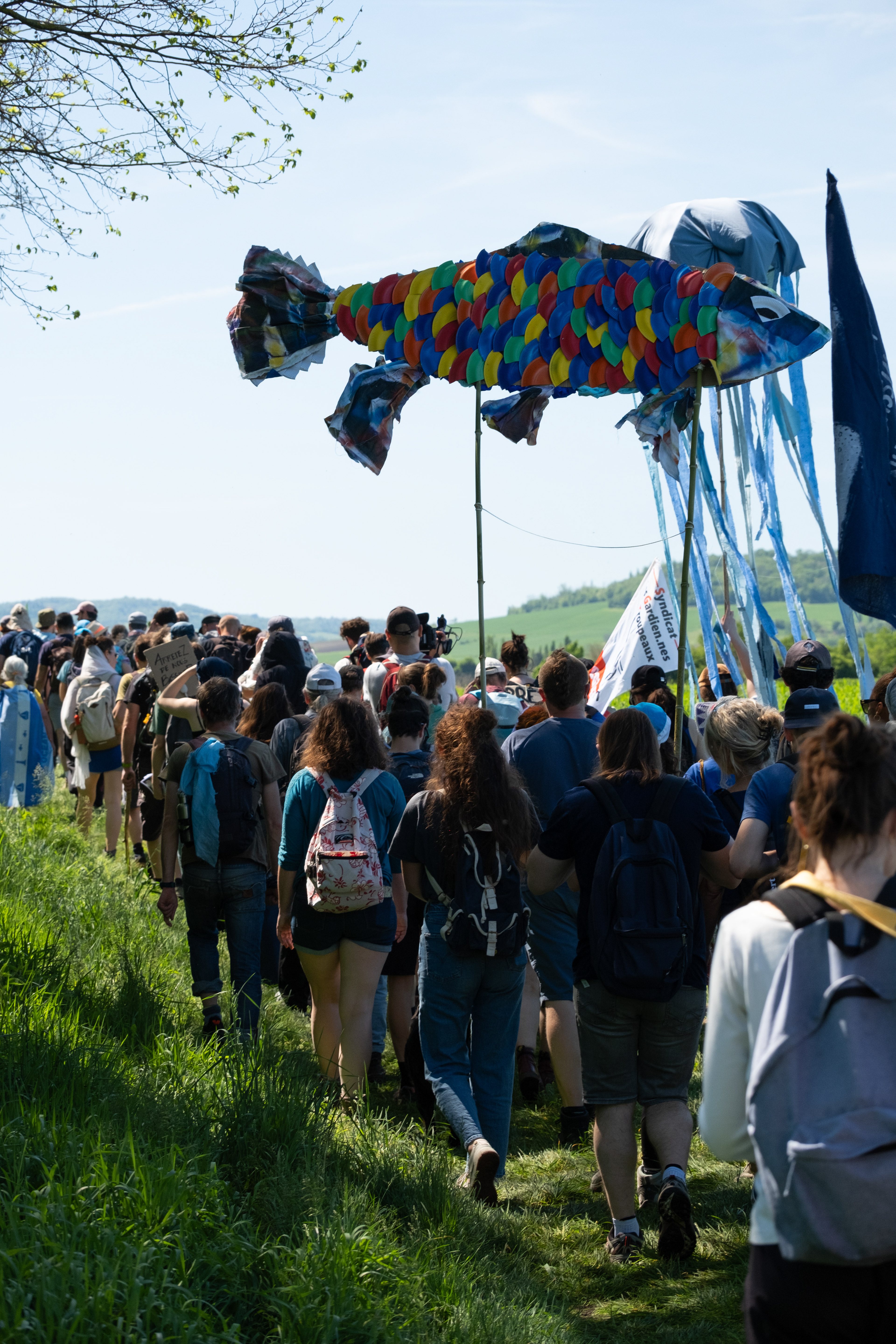 © All rights reserved, Annabelle Hamil