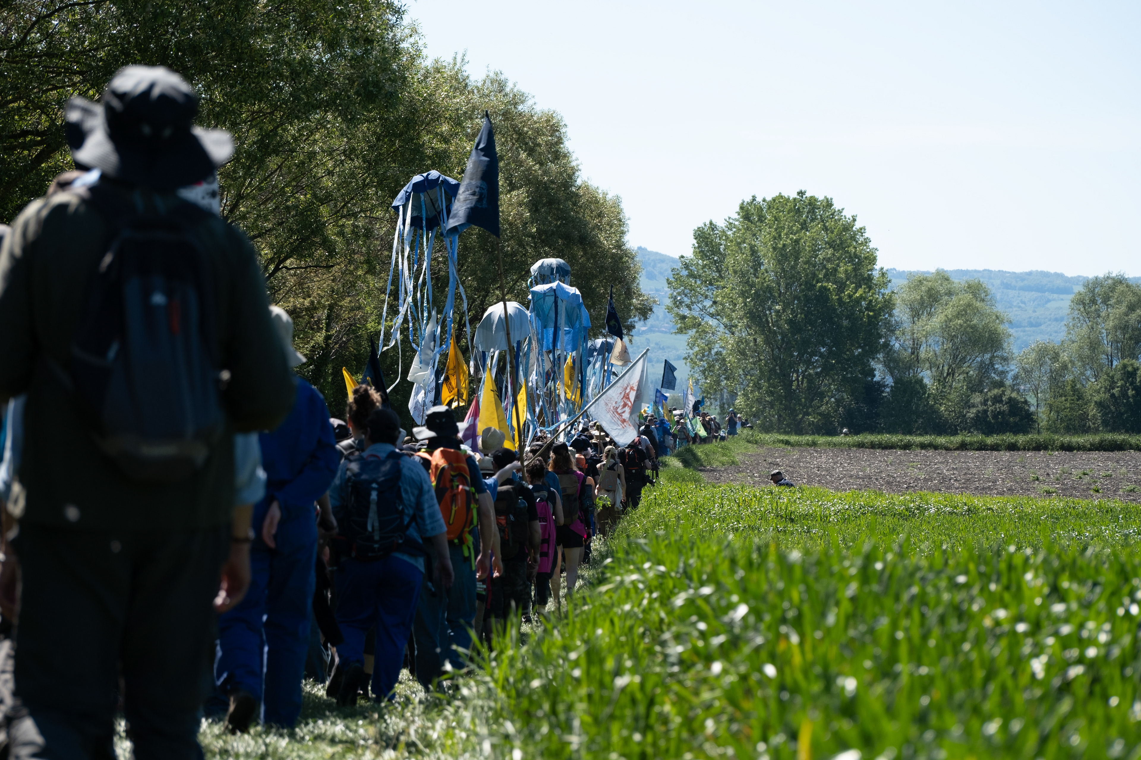 © All rights reserved, Annabelle Hamil