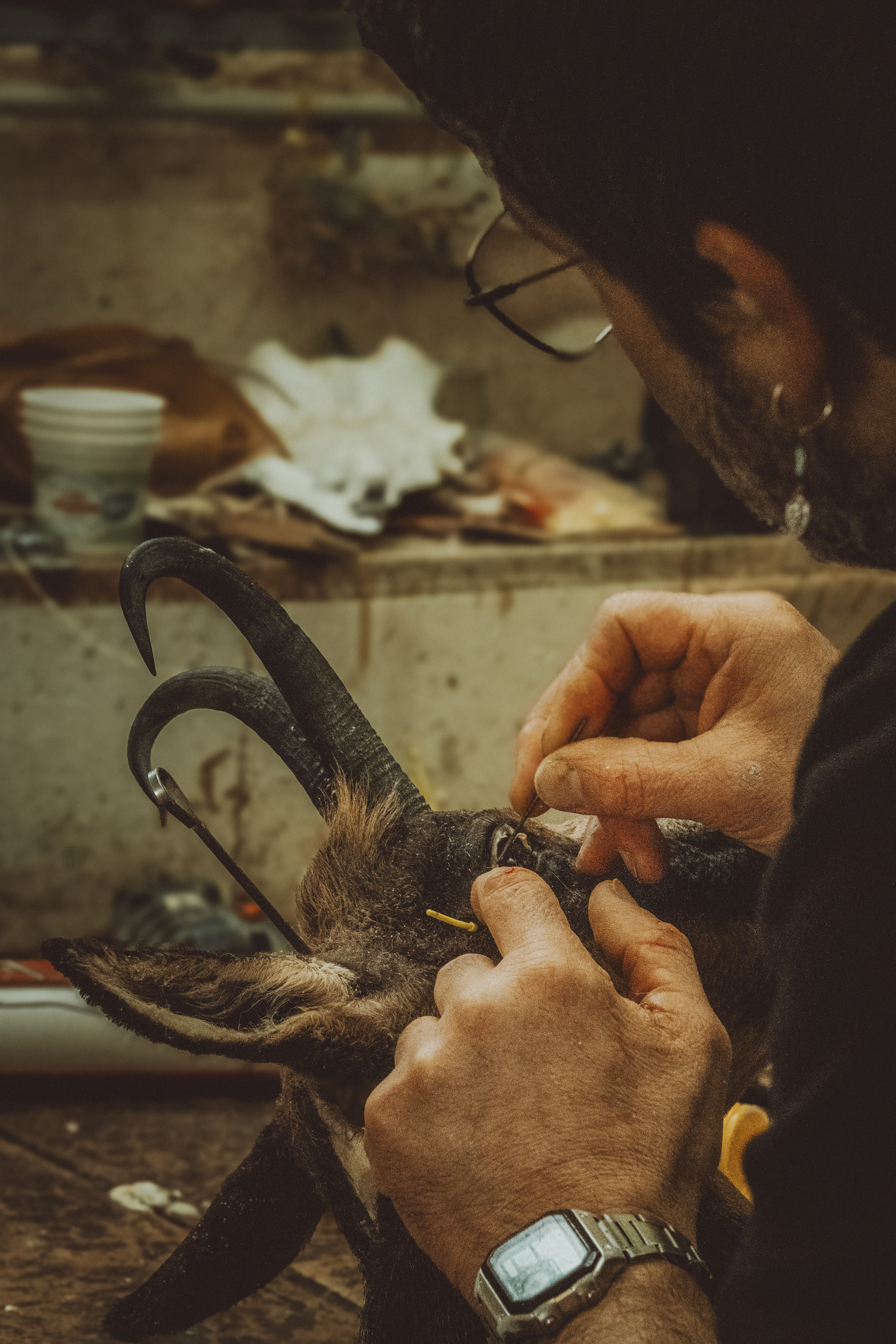 © All rights reserved, Annabelle Hamil 2025