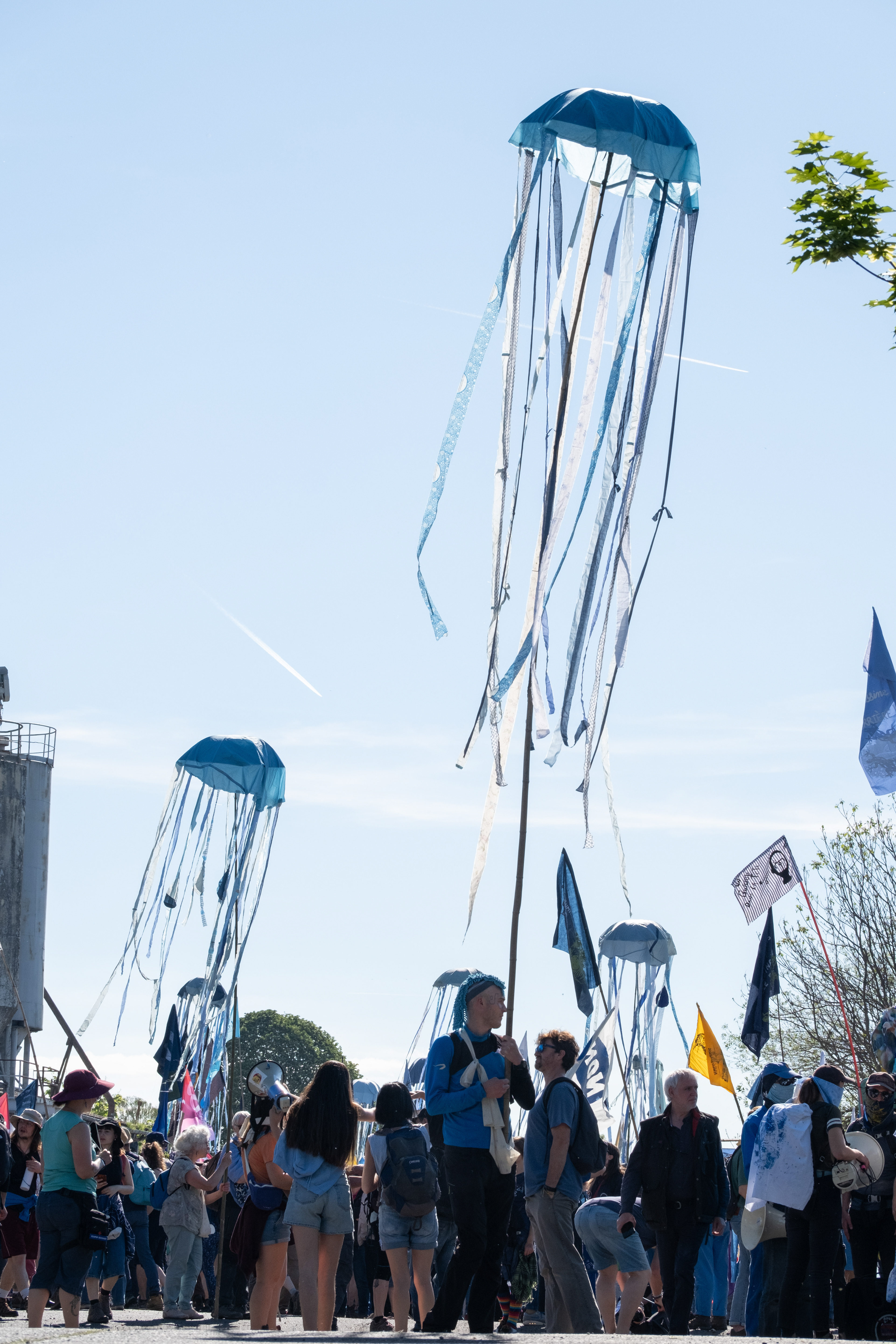 © All rights reserved, Annabelle Hamil