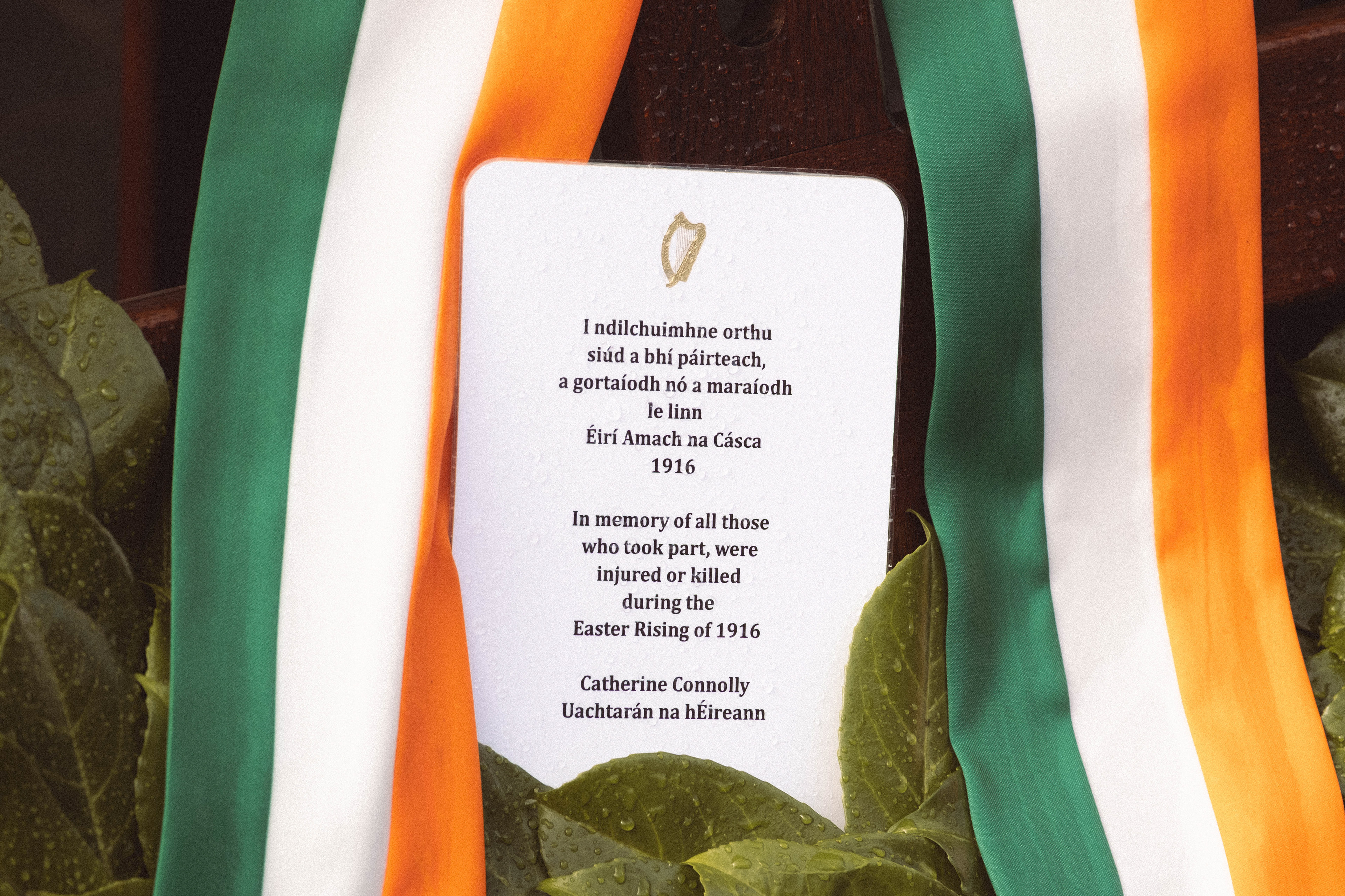 © 2026 Annabelle Hamil All rights reserved