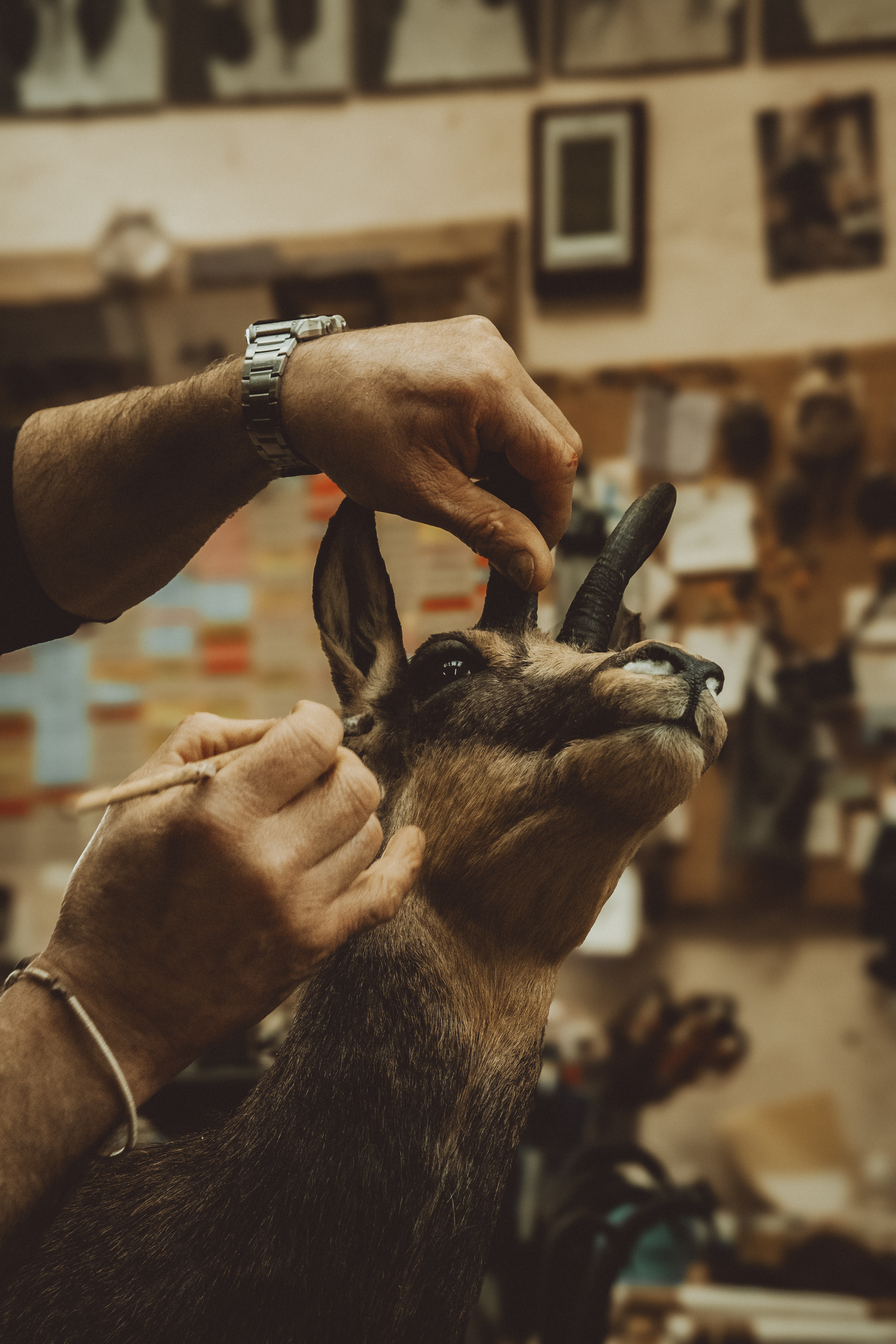 © All rights reserved, Annabelle Hamil 2025