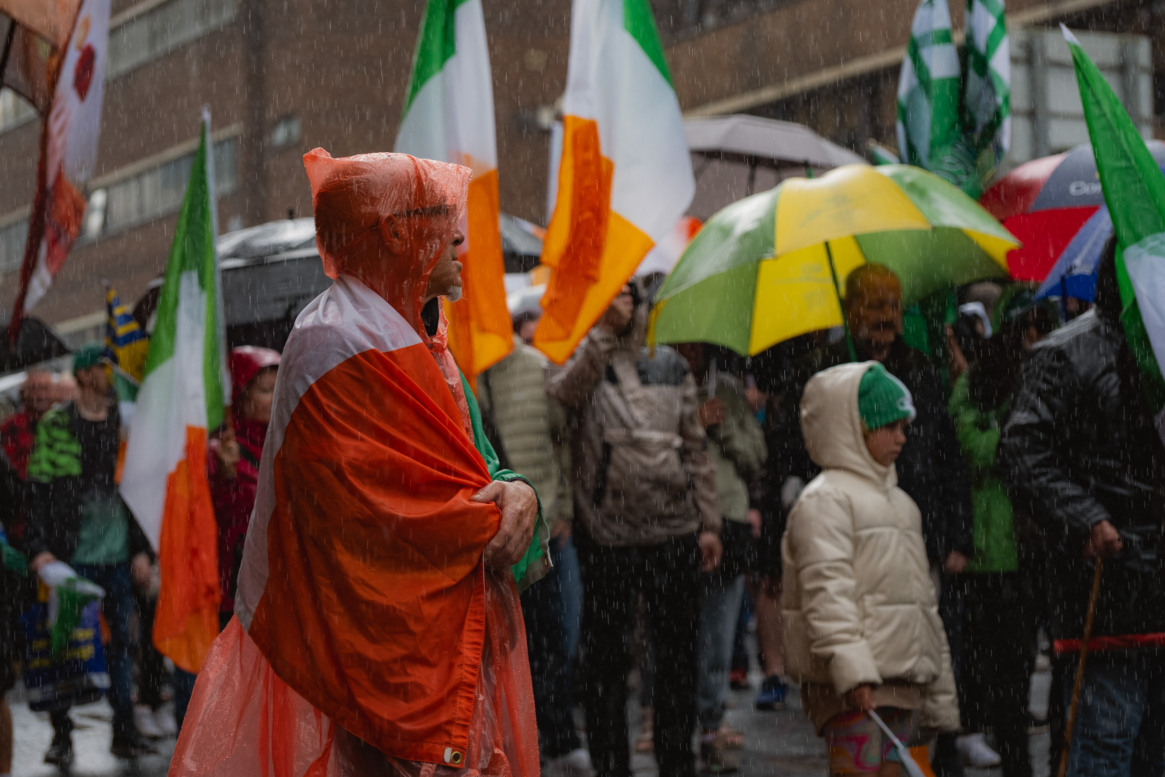 © All rights reserved, Annabelle Hamil