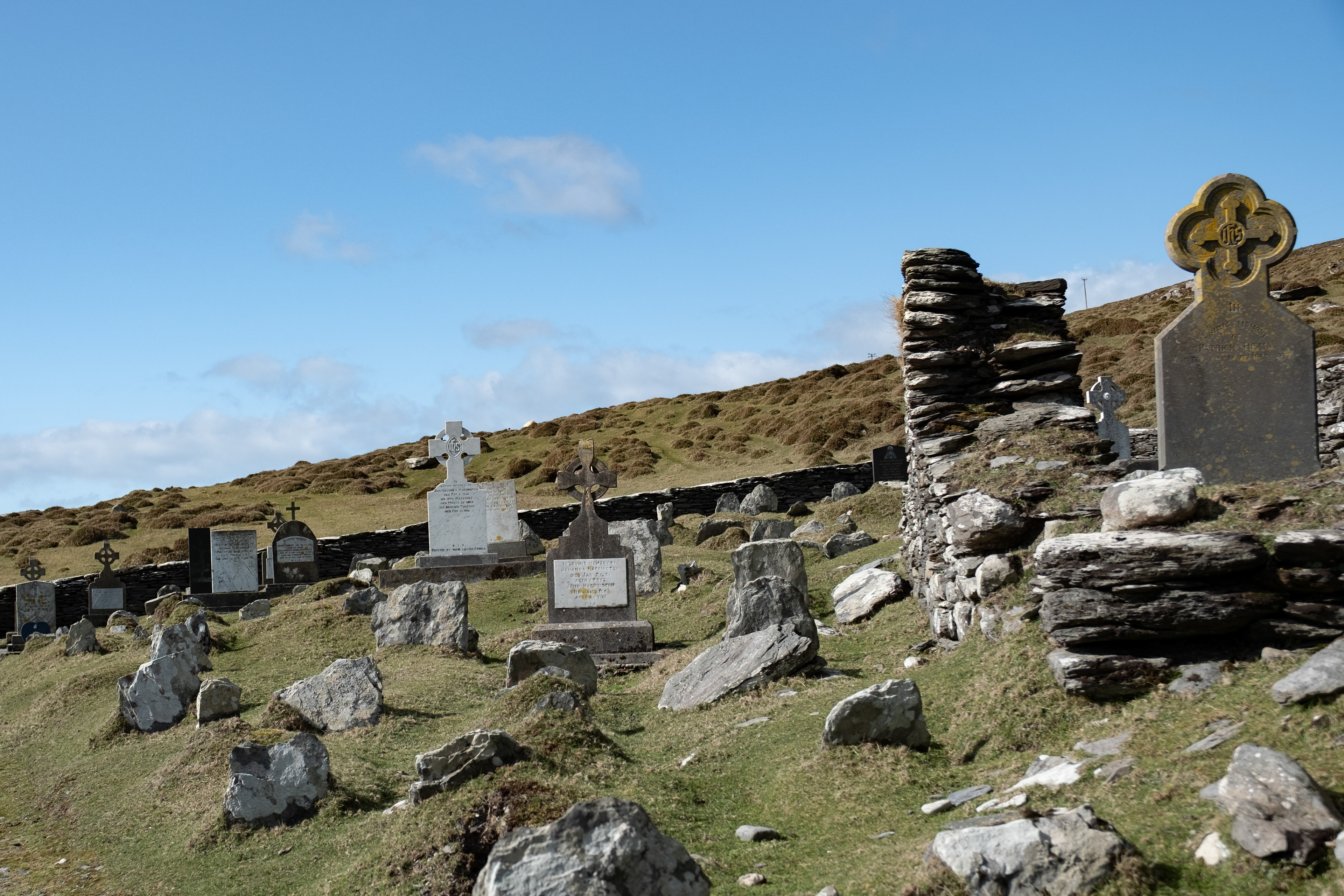 © All rights reserved, Annabelle Hamil 2025