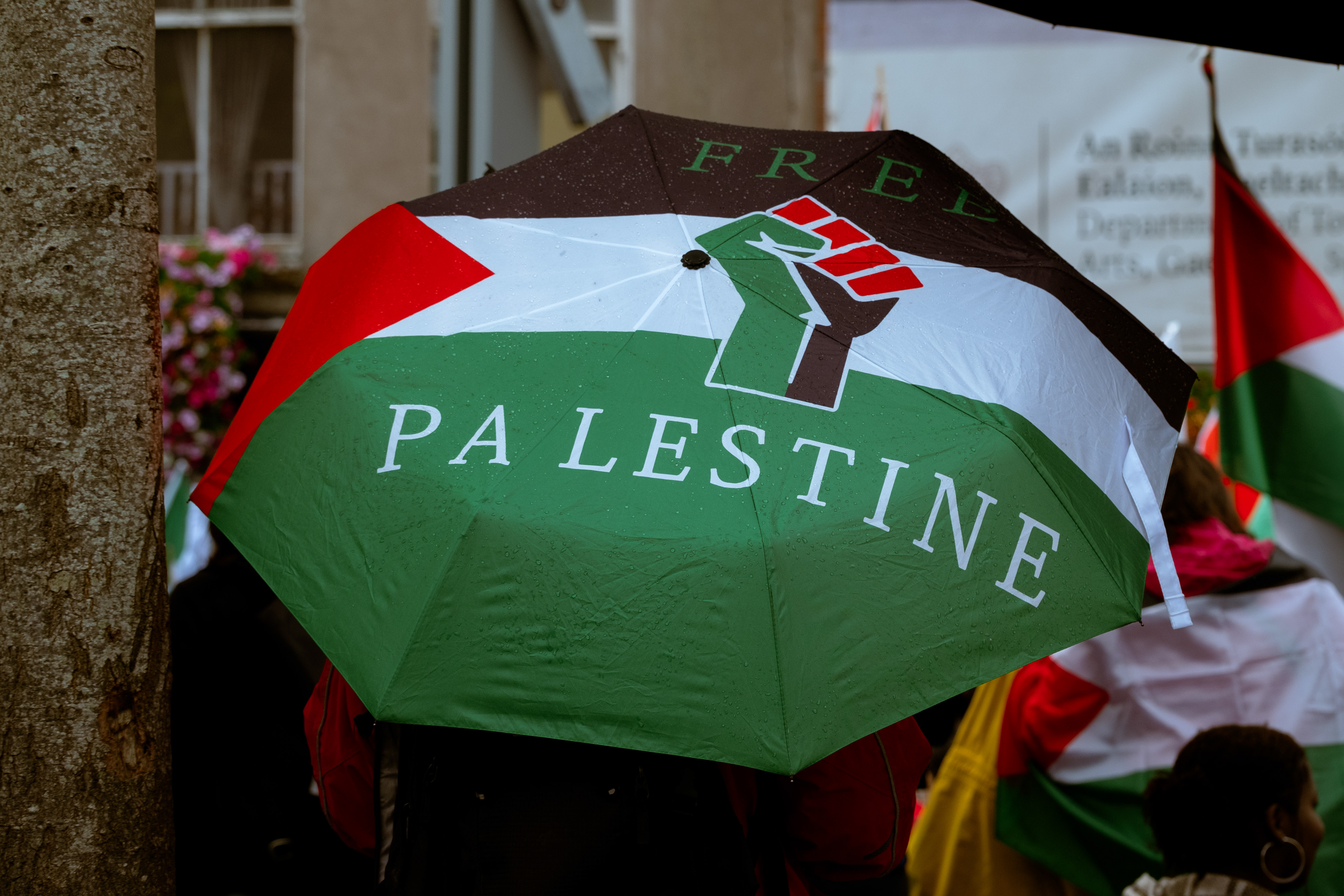 © All rights reserved, Annabelle Hamil