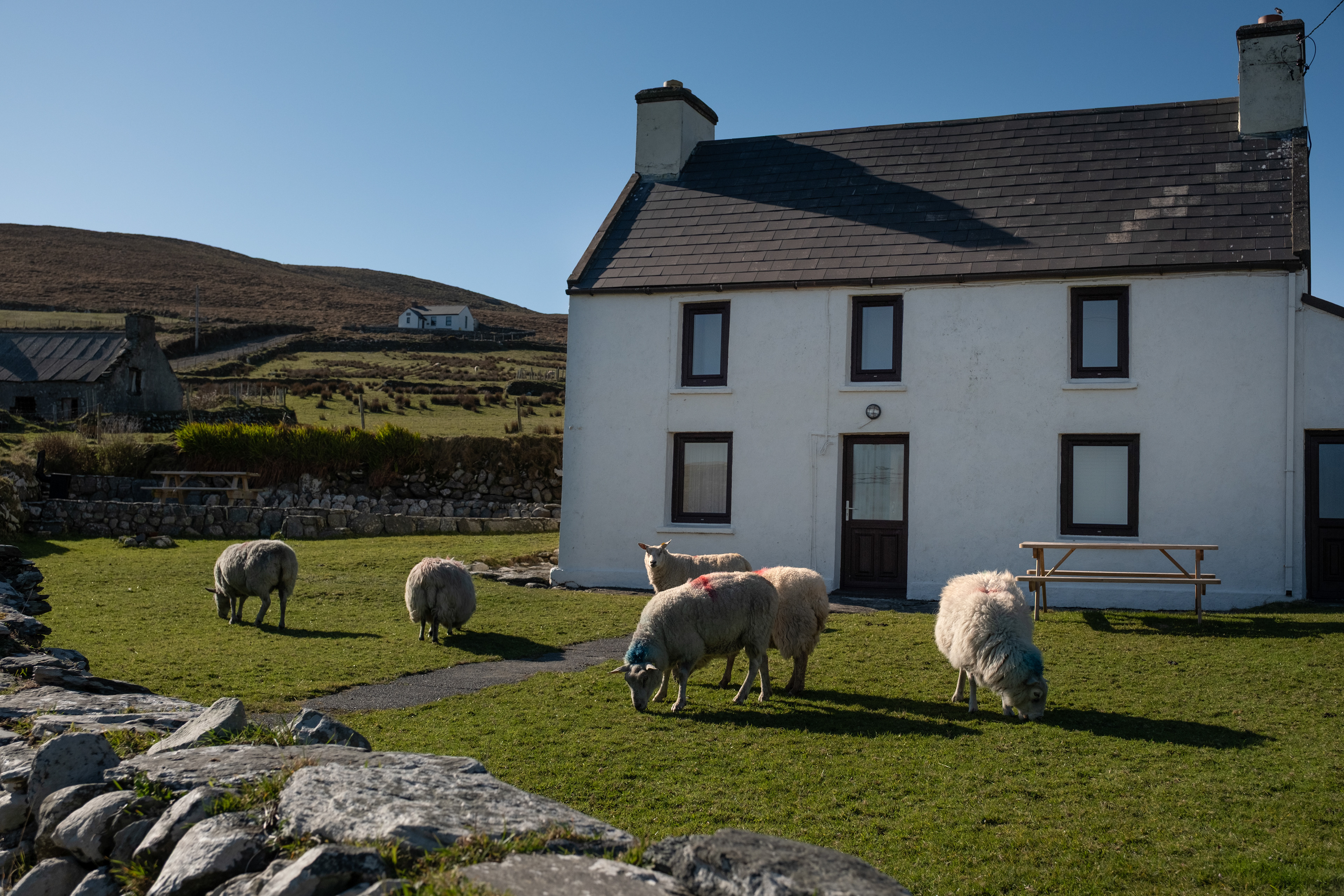 © All rights reserved, Annabelle Hamil 2025