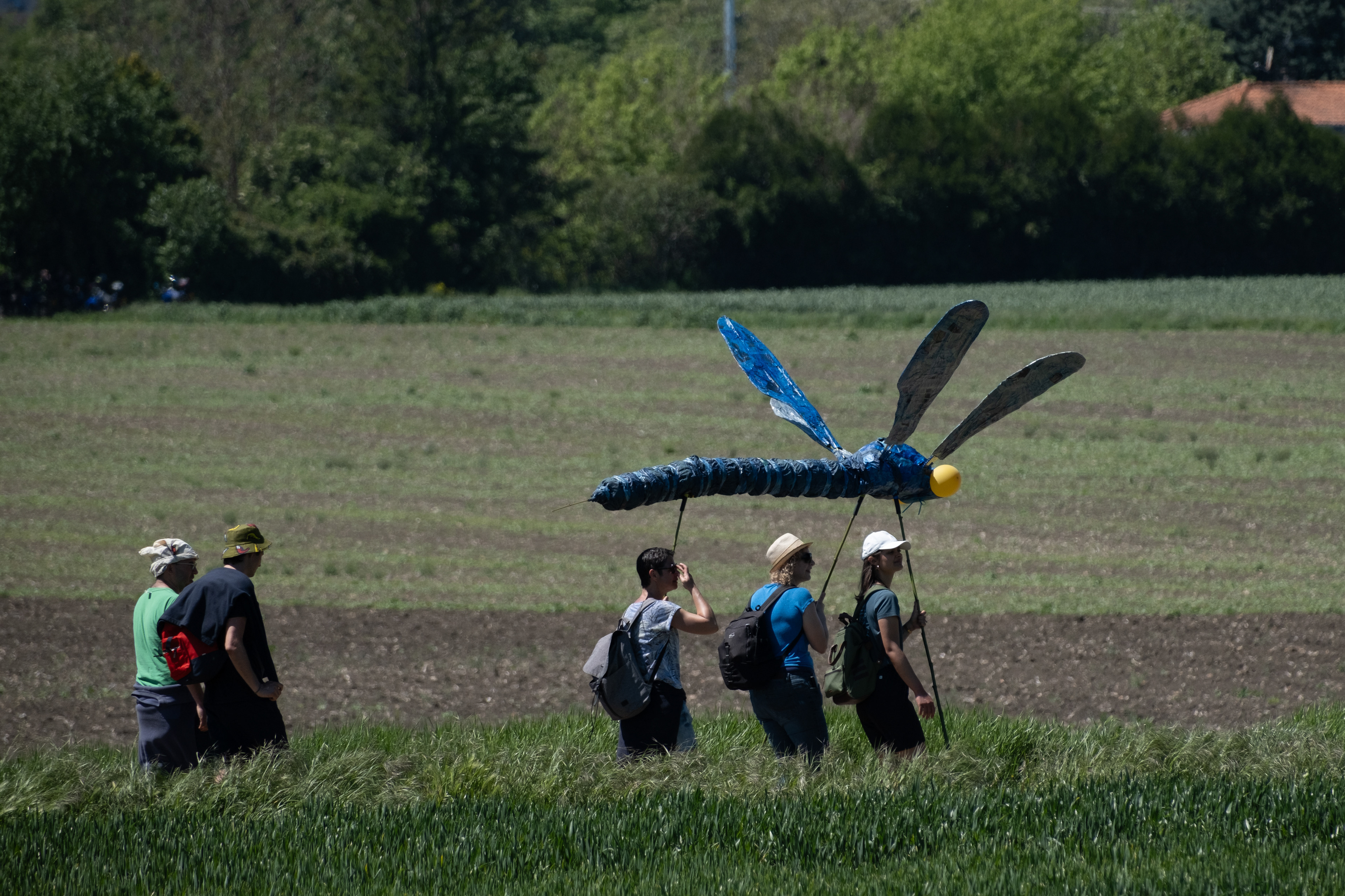 © All rights reserved, Annabelle Hamil